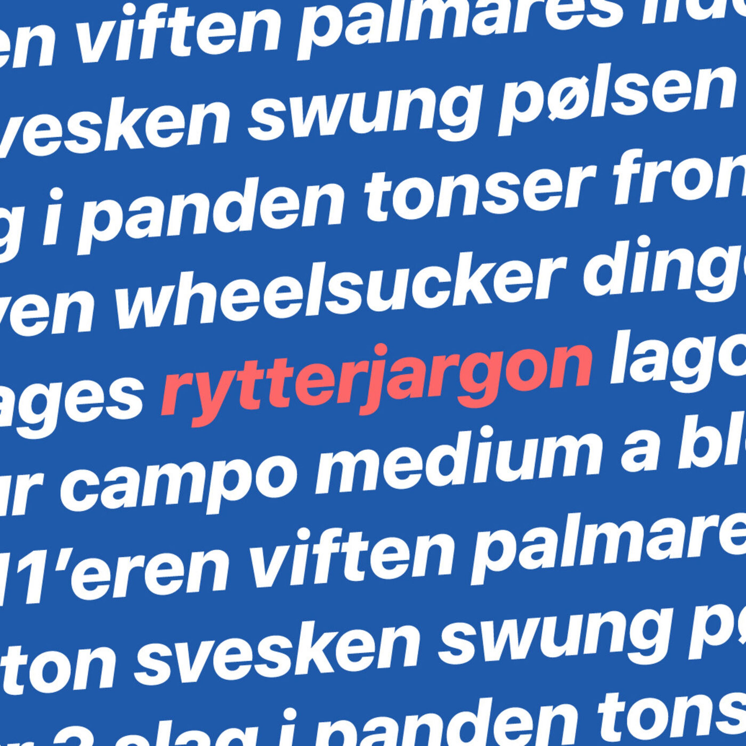 Rytterjargon