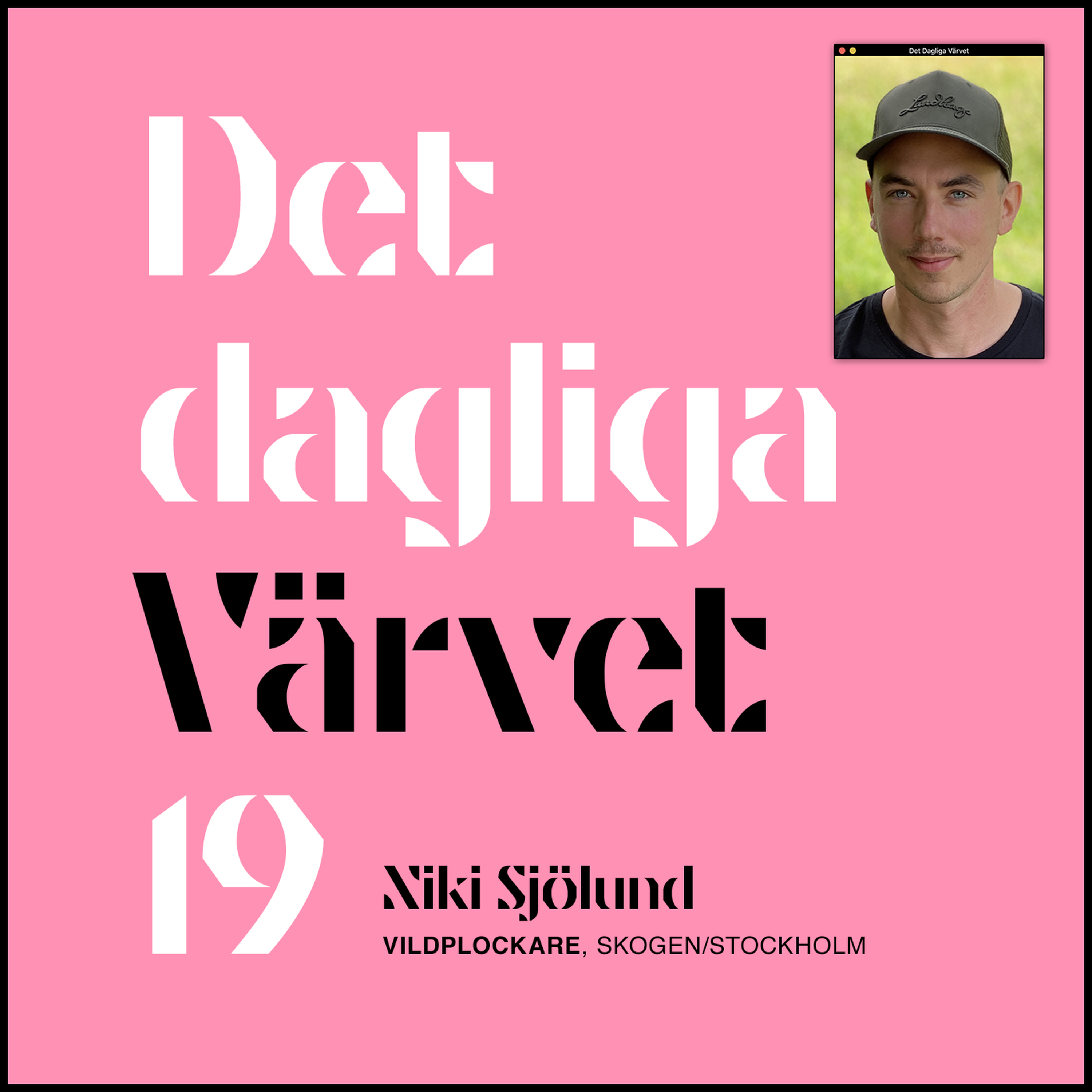 DET DAGLIGA VÄRVET #19 NIKI SJÖLUND