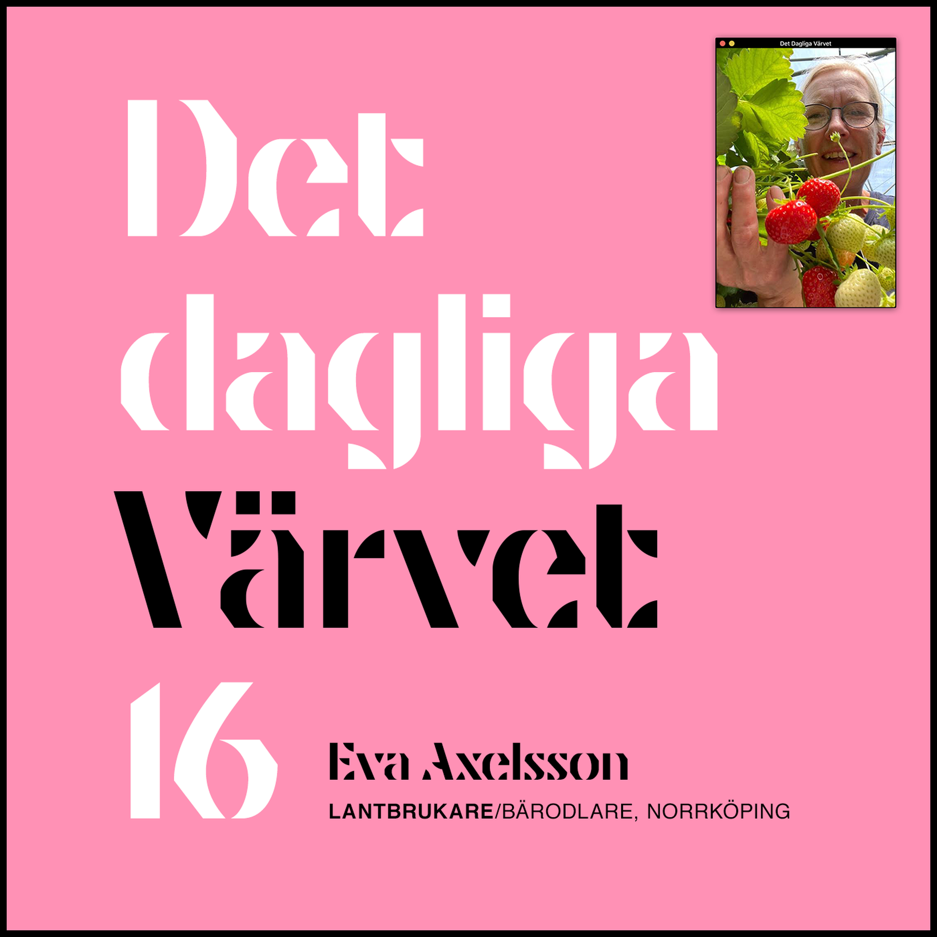 DET DAGLIGA VÄRVET #16 EVA AXELSSON