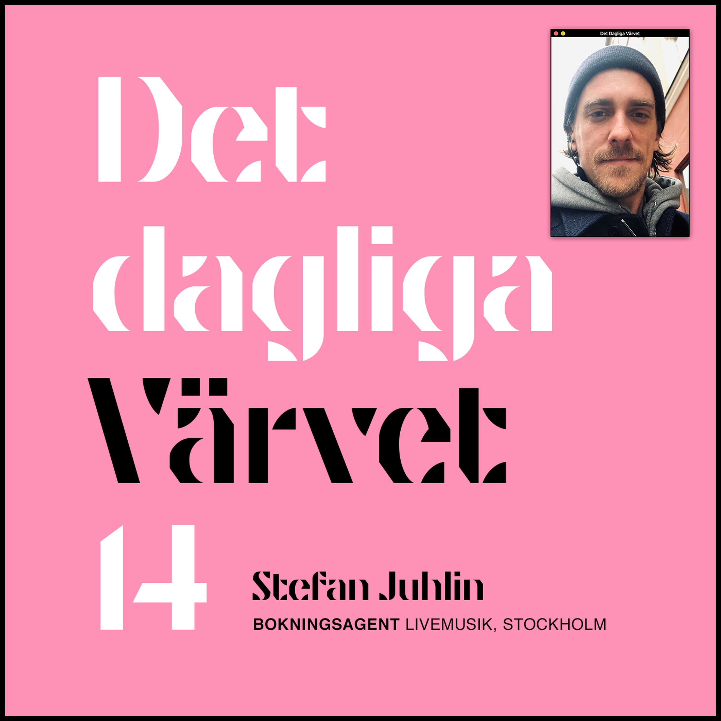 DET DAGLIGA VÄRVET #14 STEFAN JUHLIN