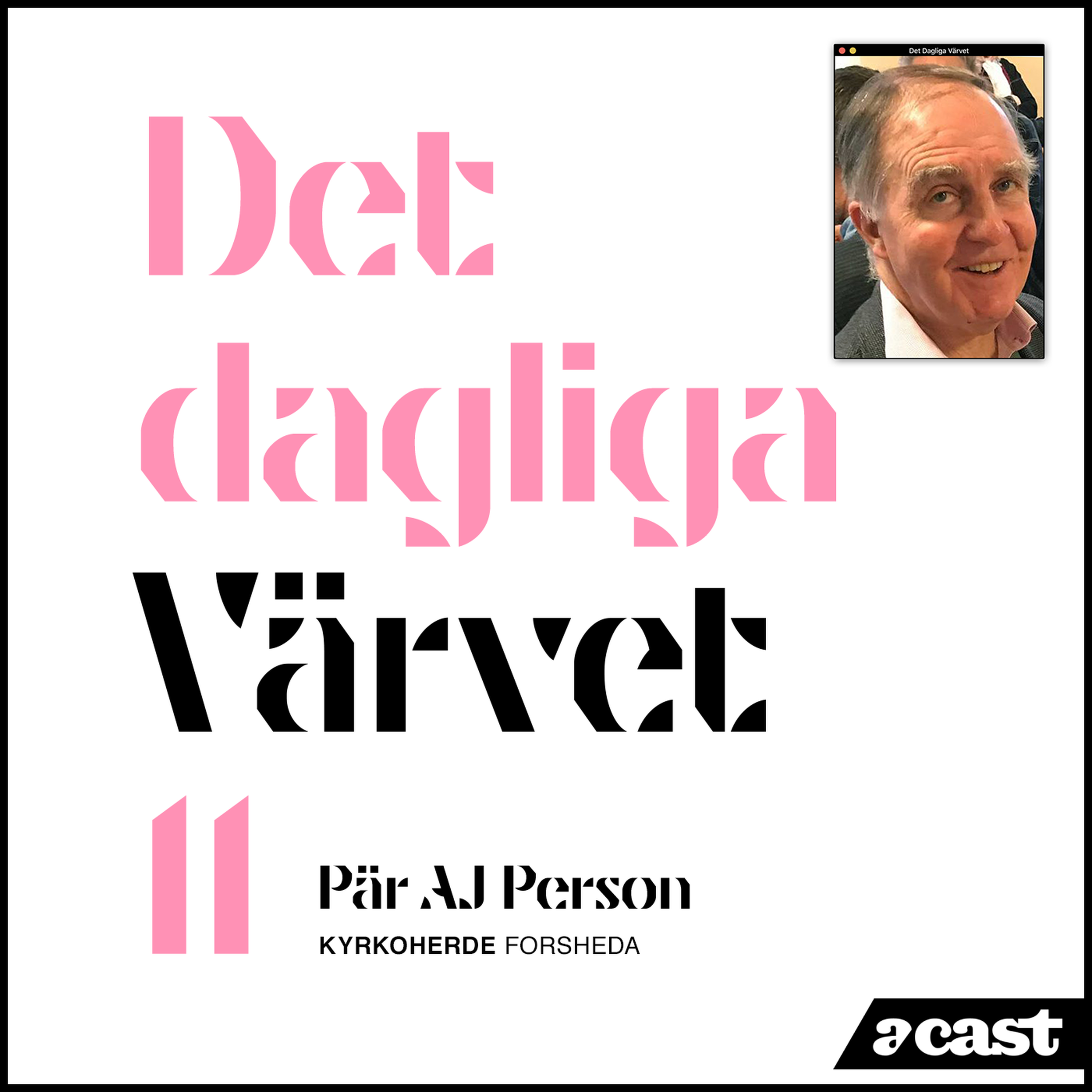 DET DAGLIGA VÄRVET #11 Pär AJ Person