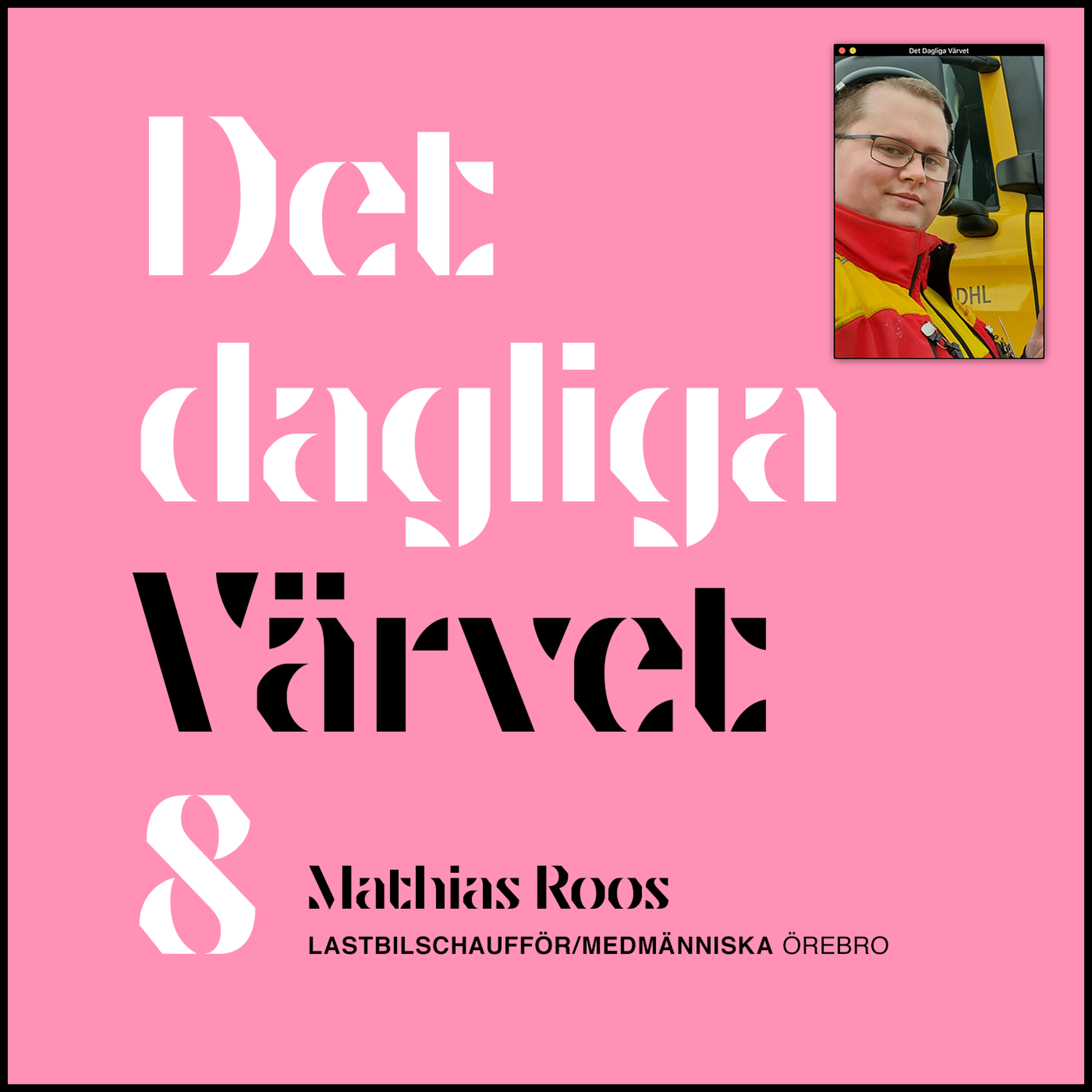 DET DAGLIGA VÄRVET #8 Mathias Roos