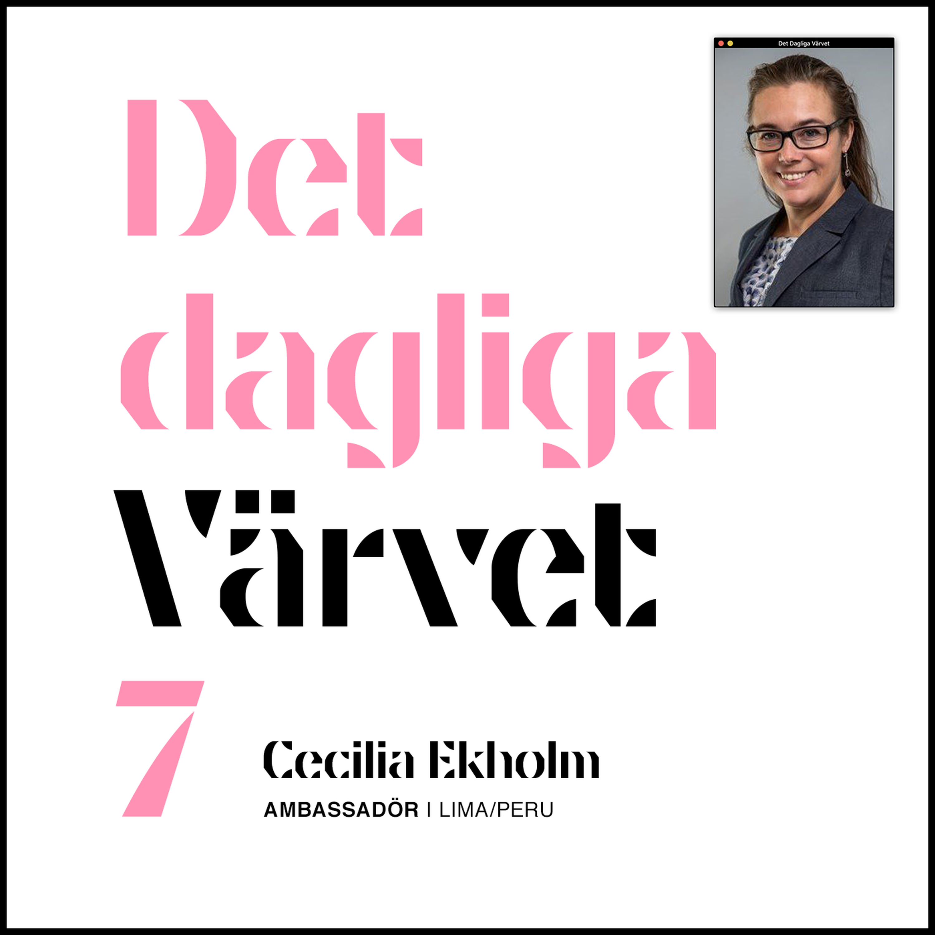 DET DAGLIGA VÄRVET #7 Cecilia Ekholm