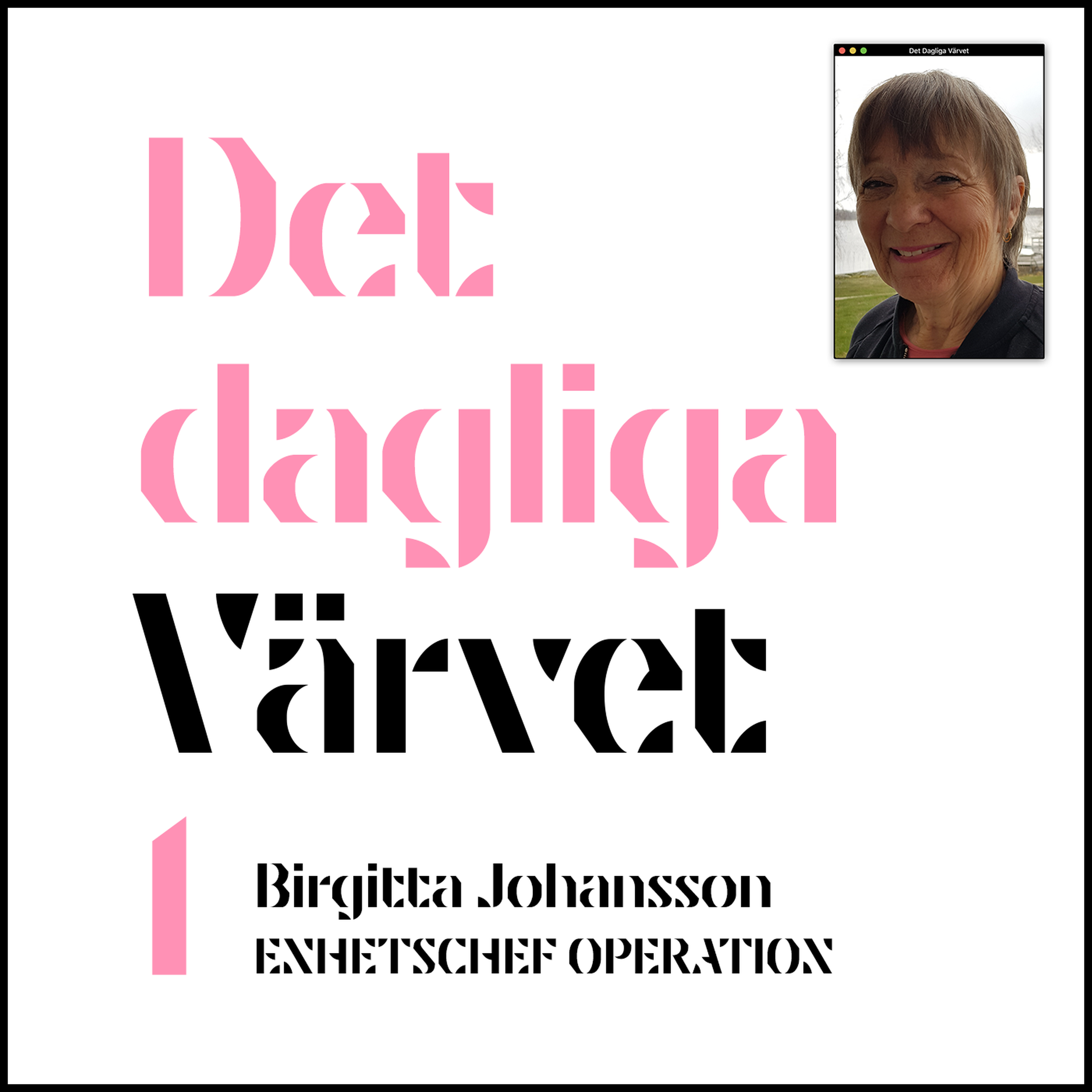 DET DAGLIGA VÄRVET #1 Birgitta Johansson