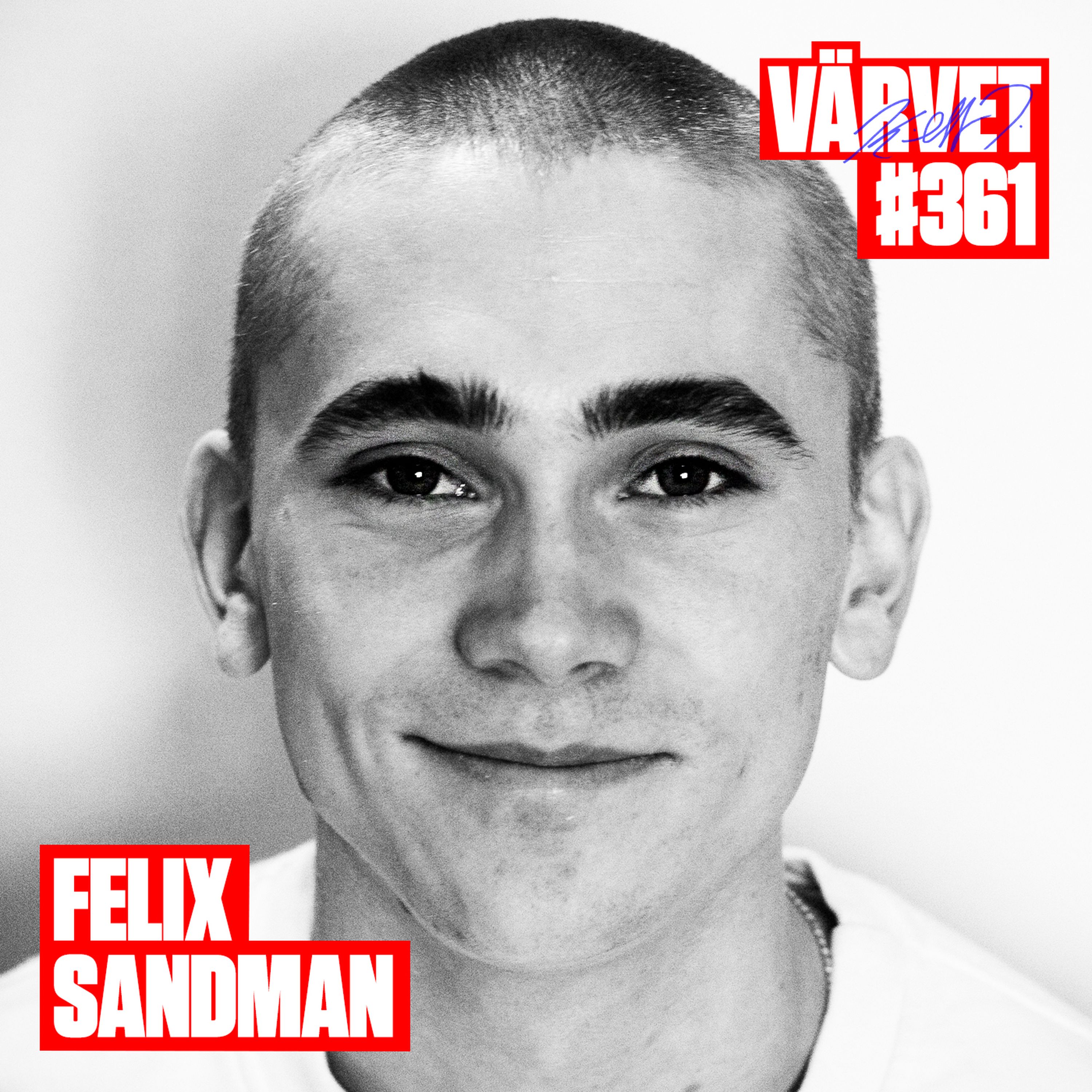 #361: Felix Sandman