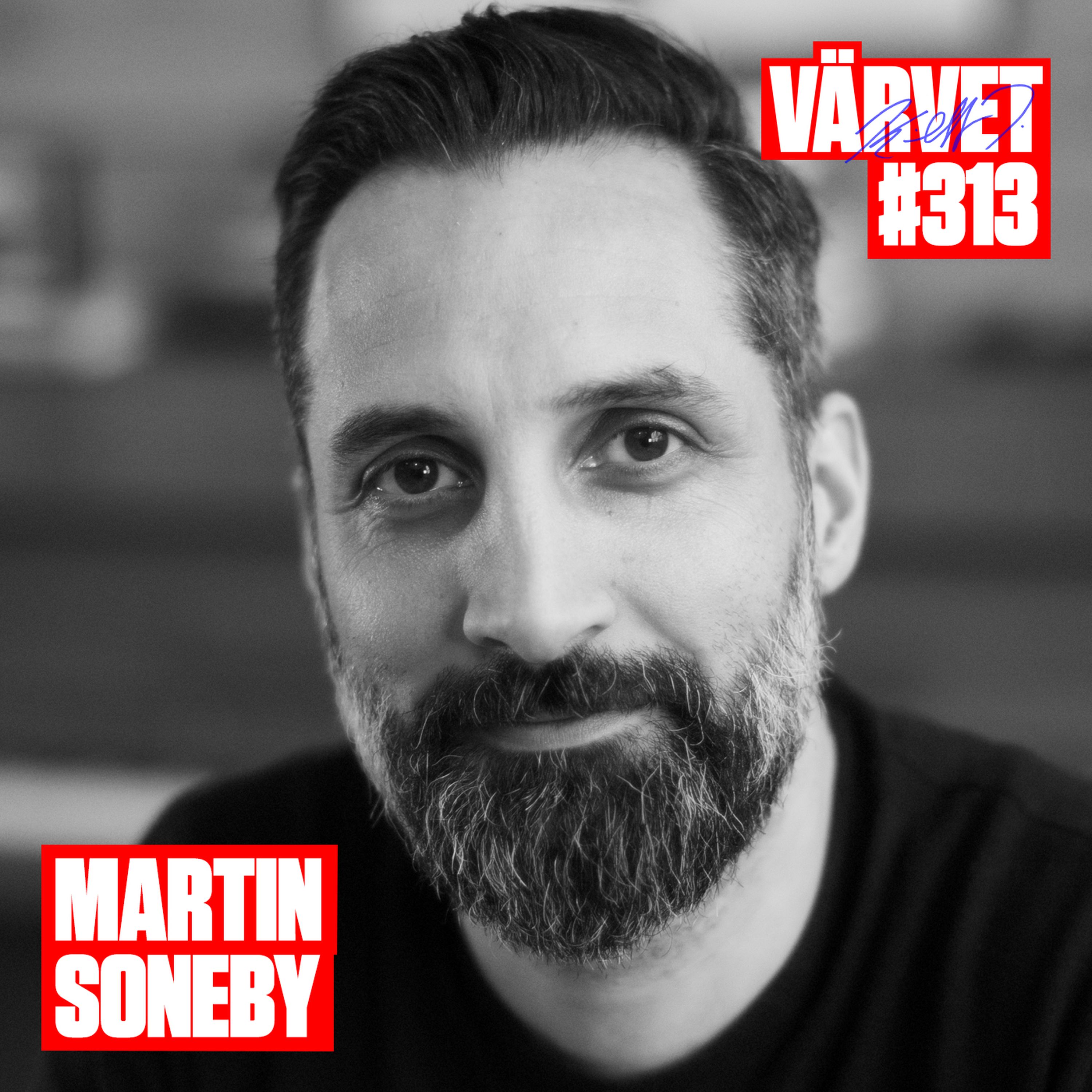 cover art for #313: Martin Soneby