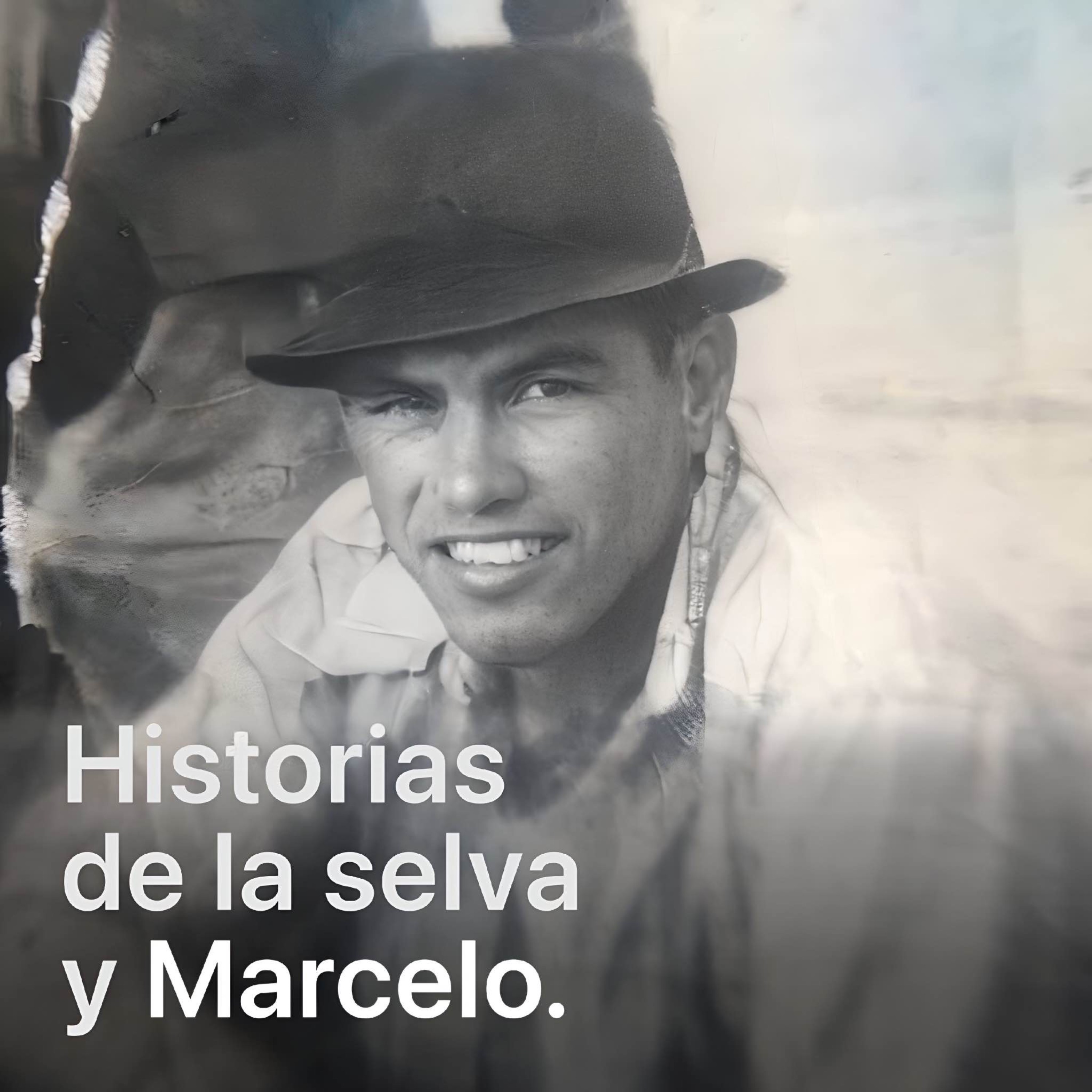 Historias de la selva y Marcelo