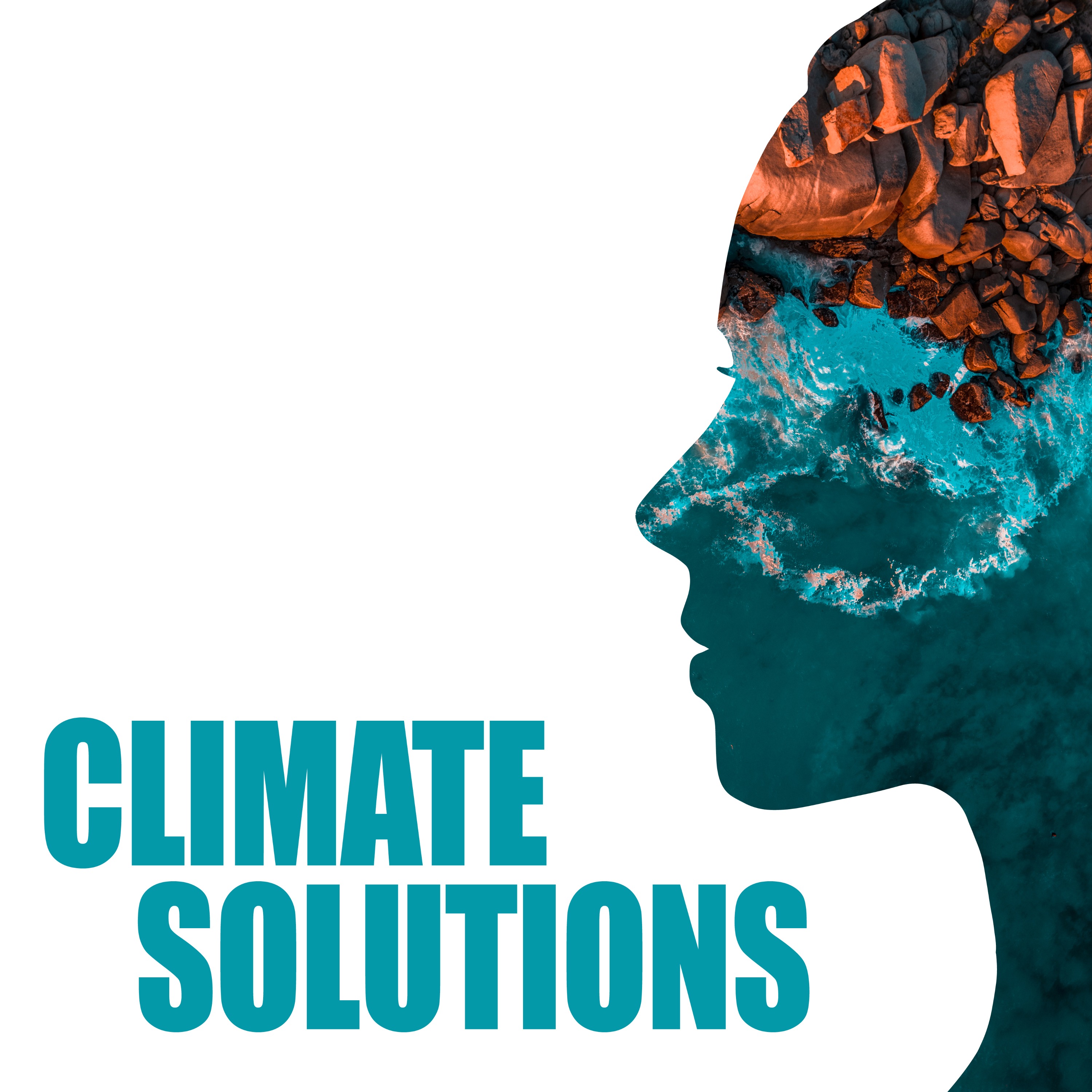 cover art for What are countries doing about climate adaptation?