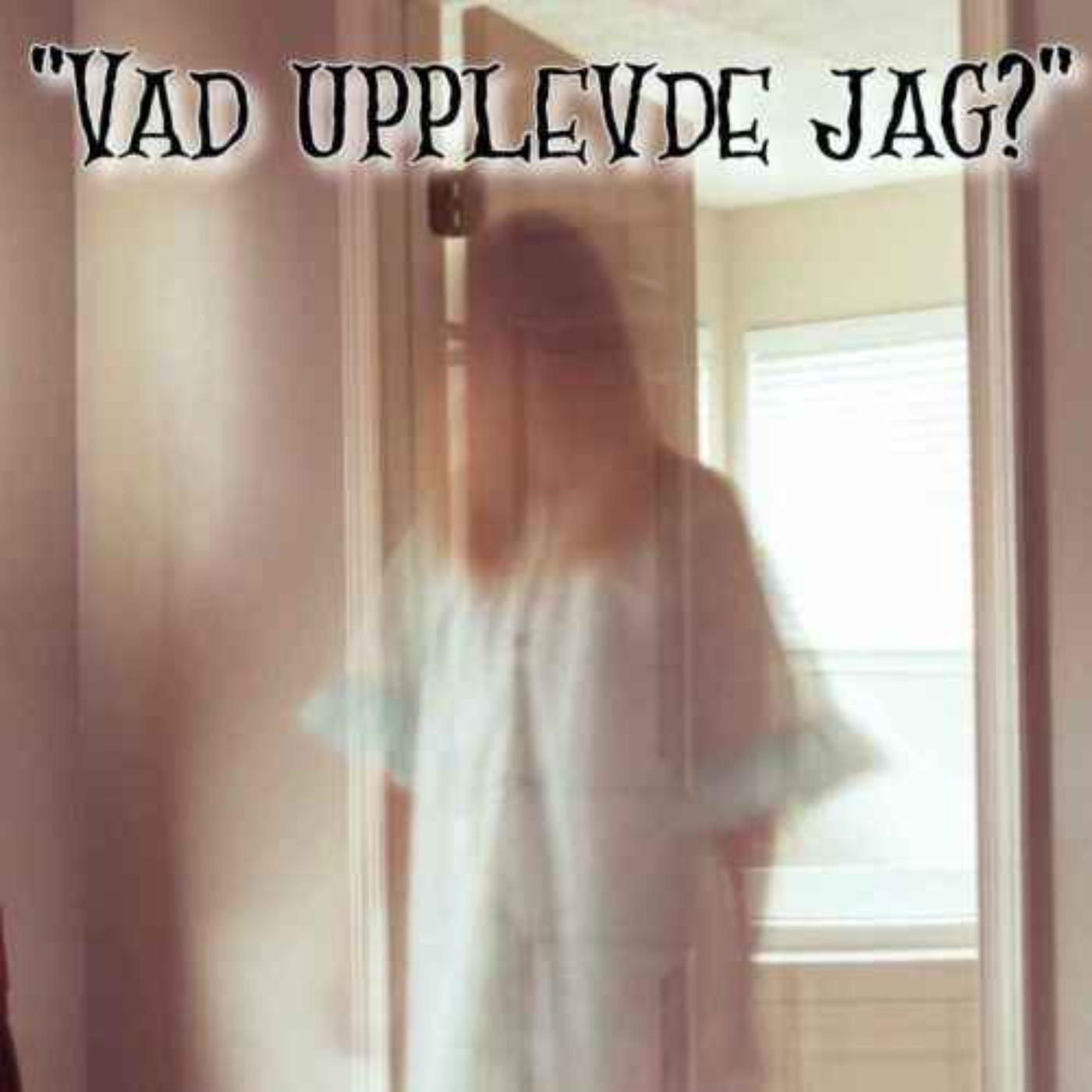 "VAD UPPLEVDE JAG?"  episode artwork