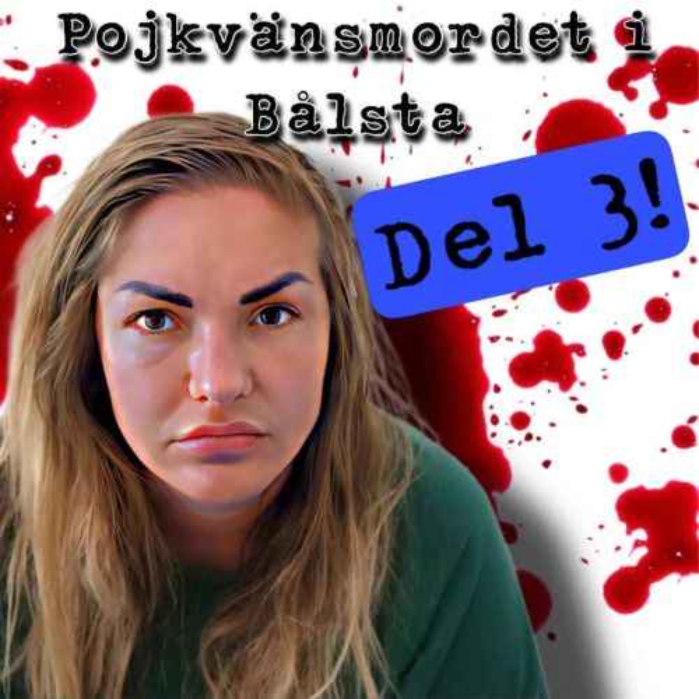 Pojkvänsmordet i Bålsta, del 3. episode artwork