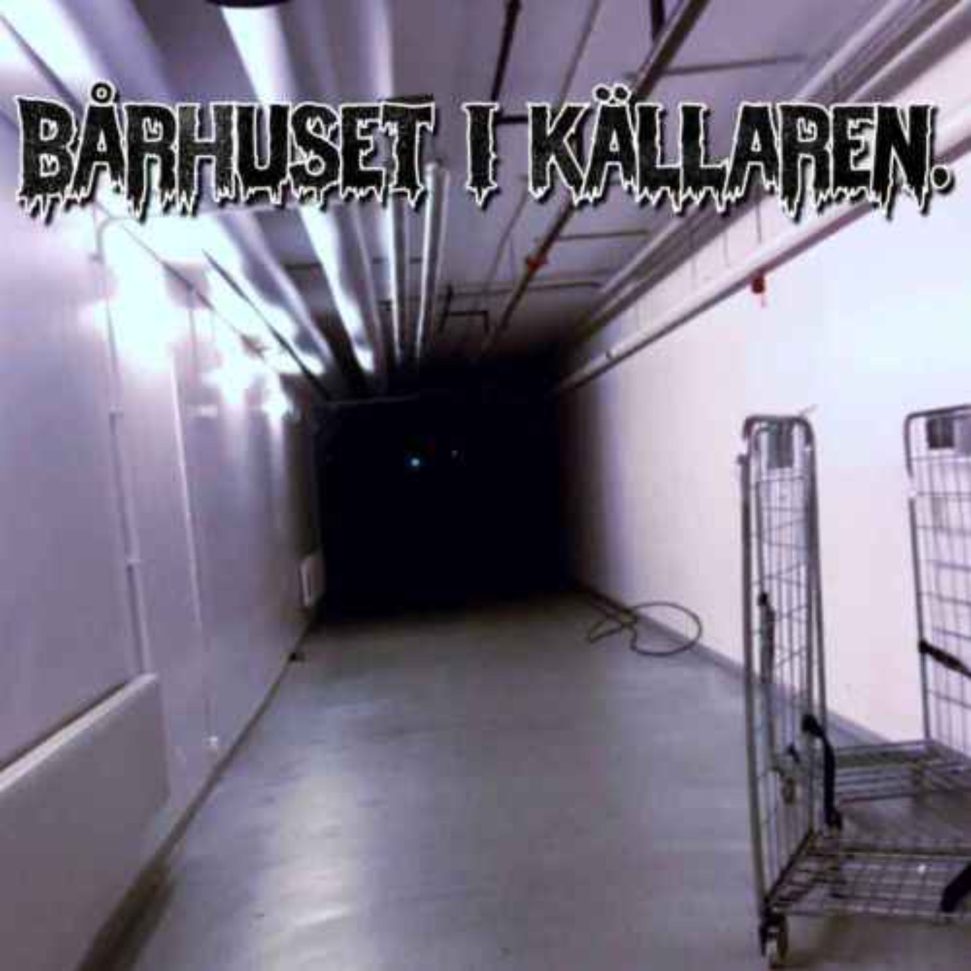 cover art for Bårhuset i källaren.