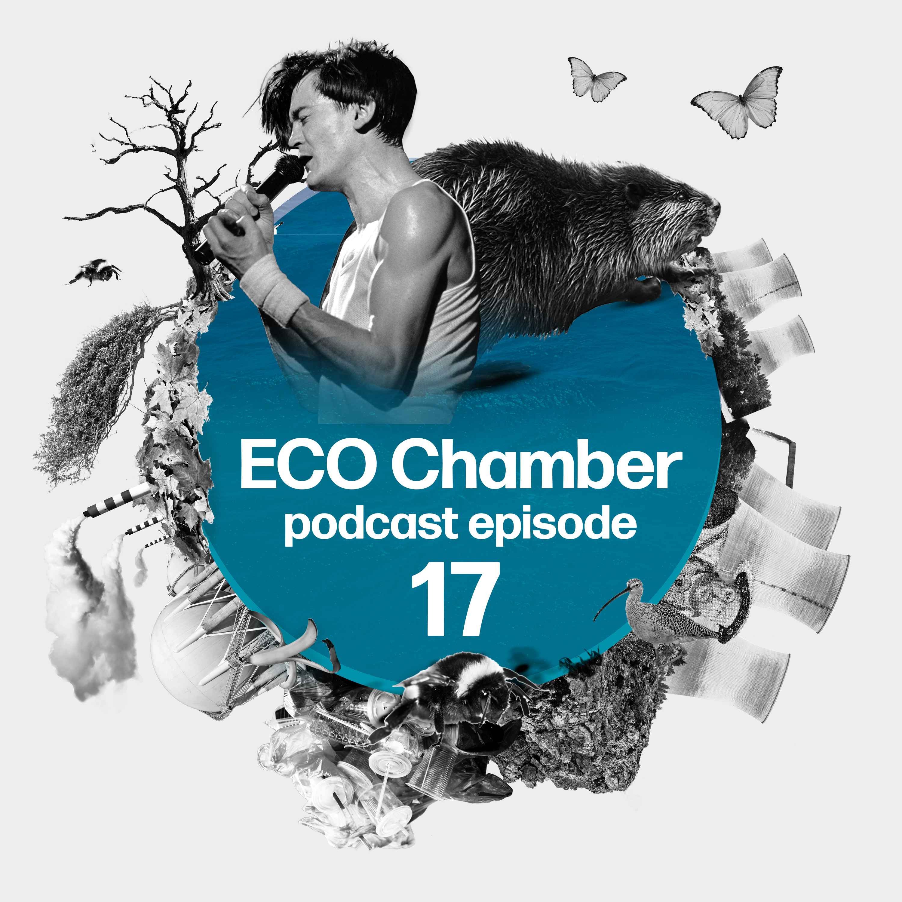 Eco Chamber