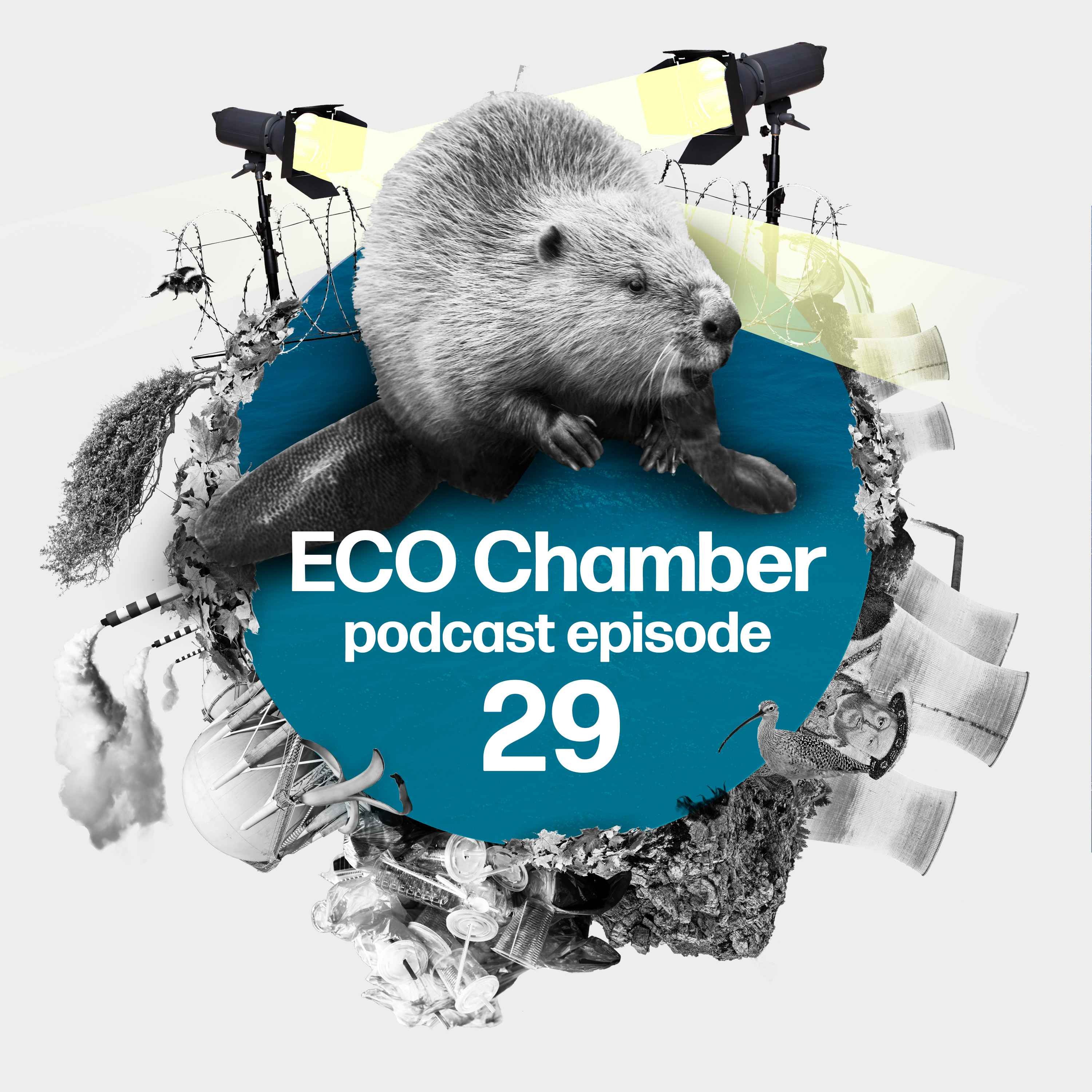 Eco Chamber