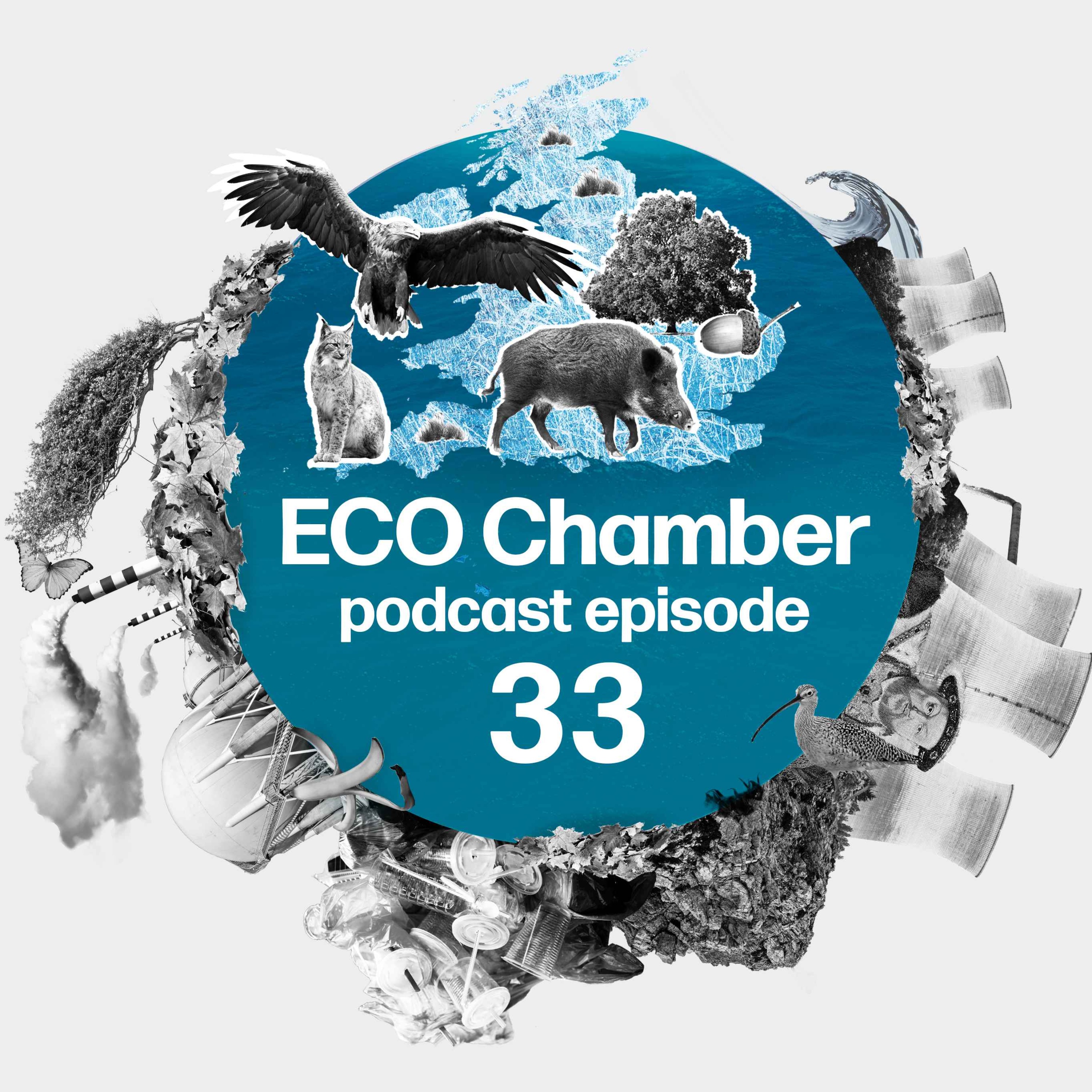 Eco Chamber