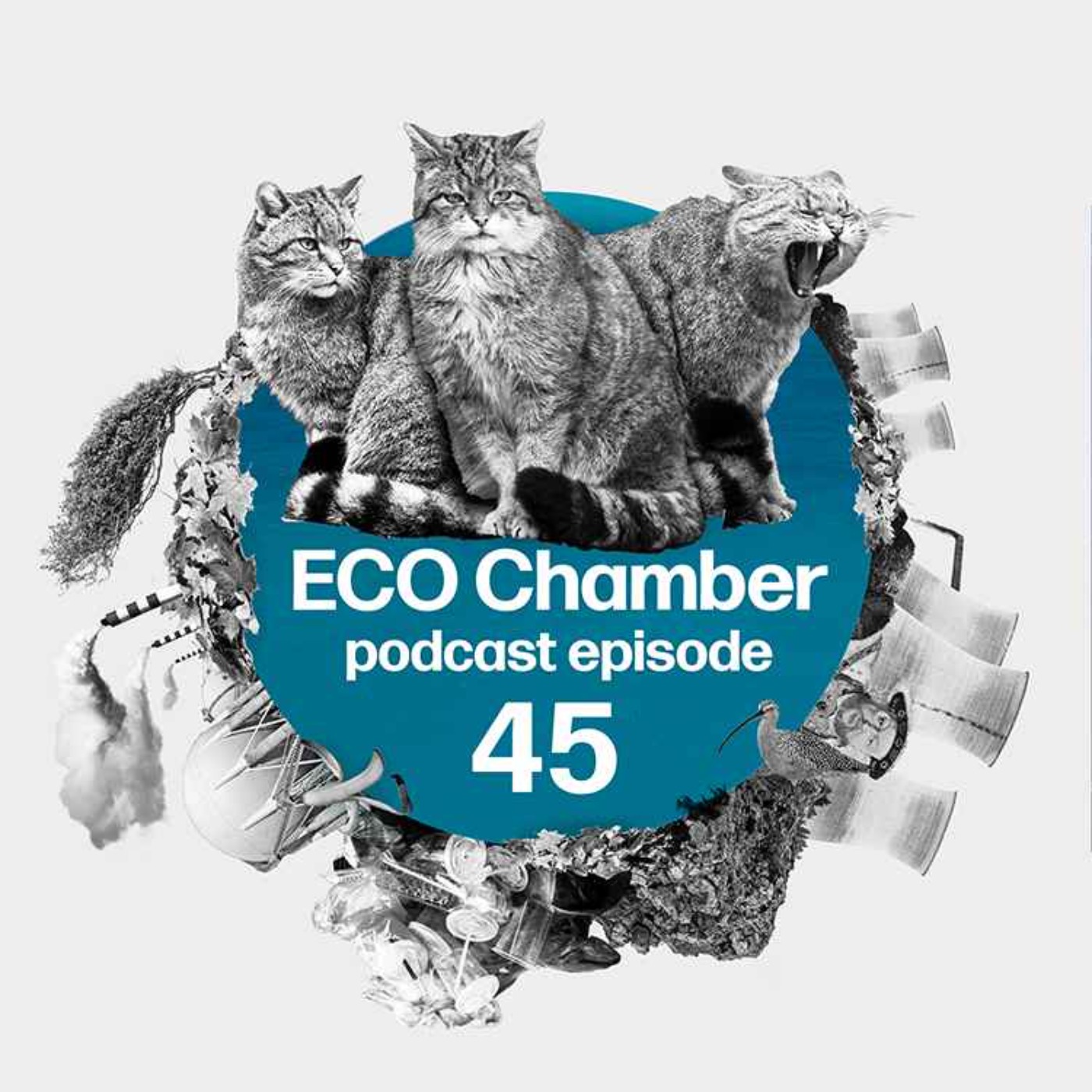 Eco Chamber