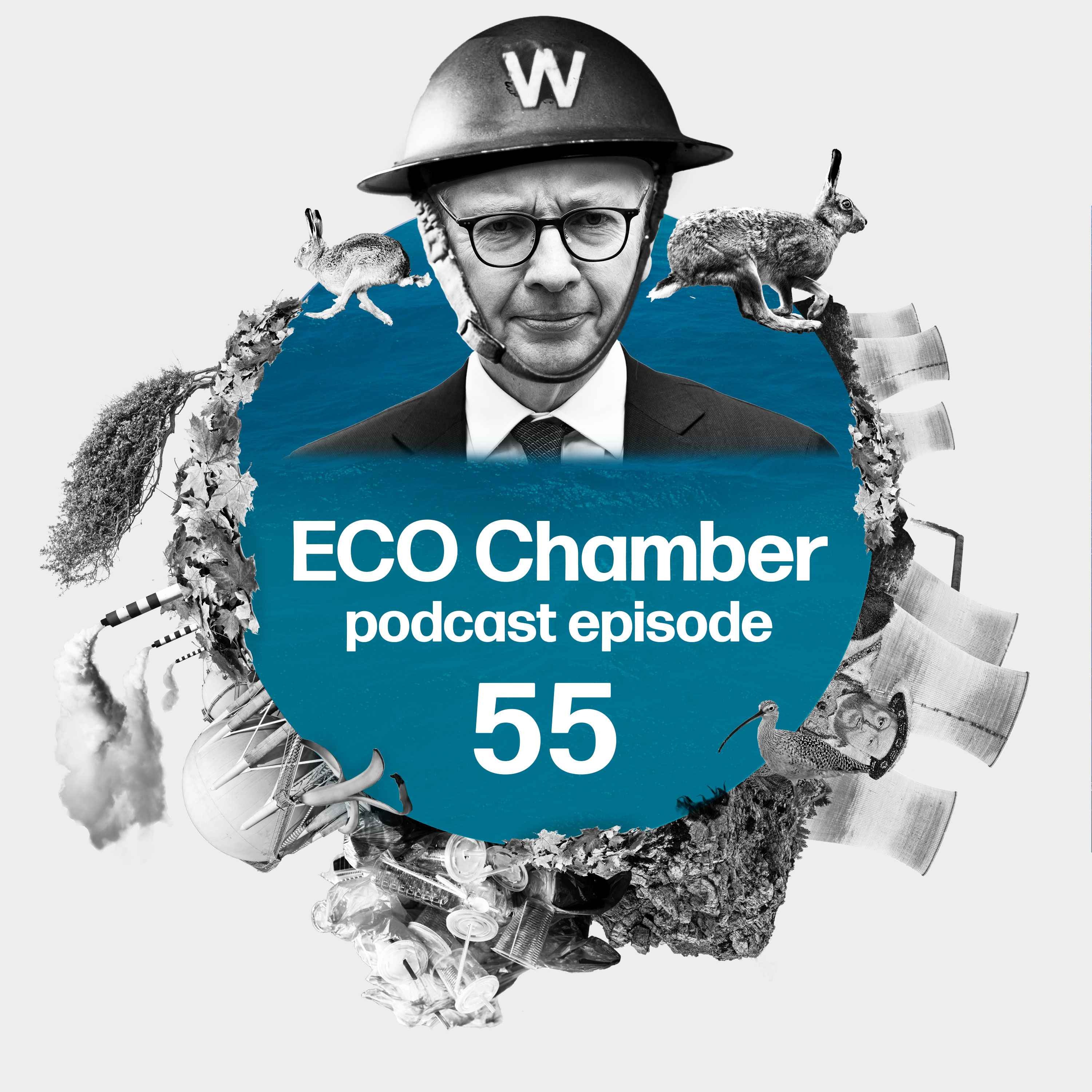 Eco Chamber