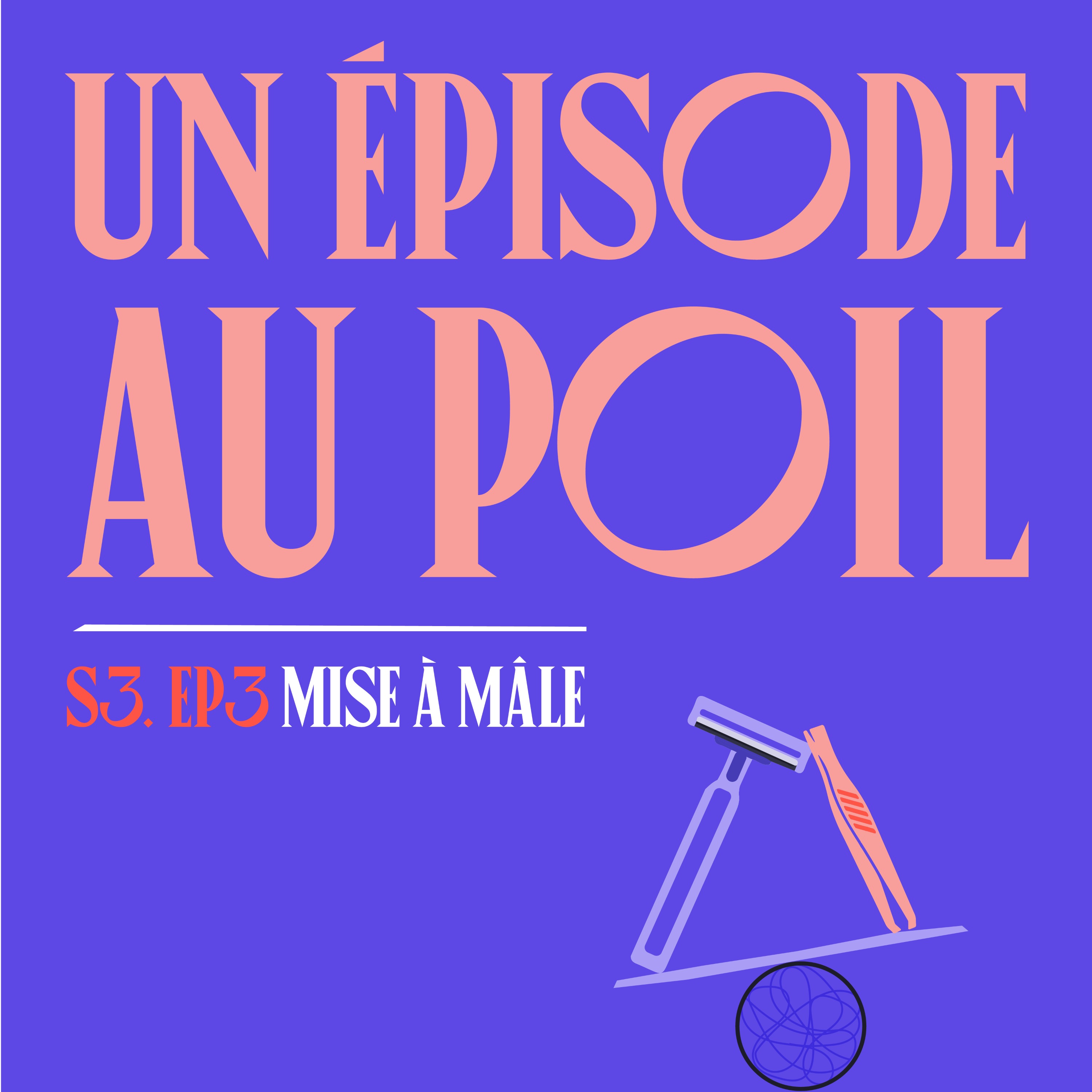 S03E03 - Un épisode au Poil episode artwork