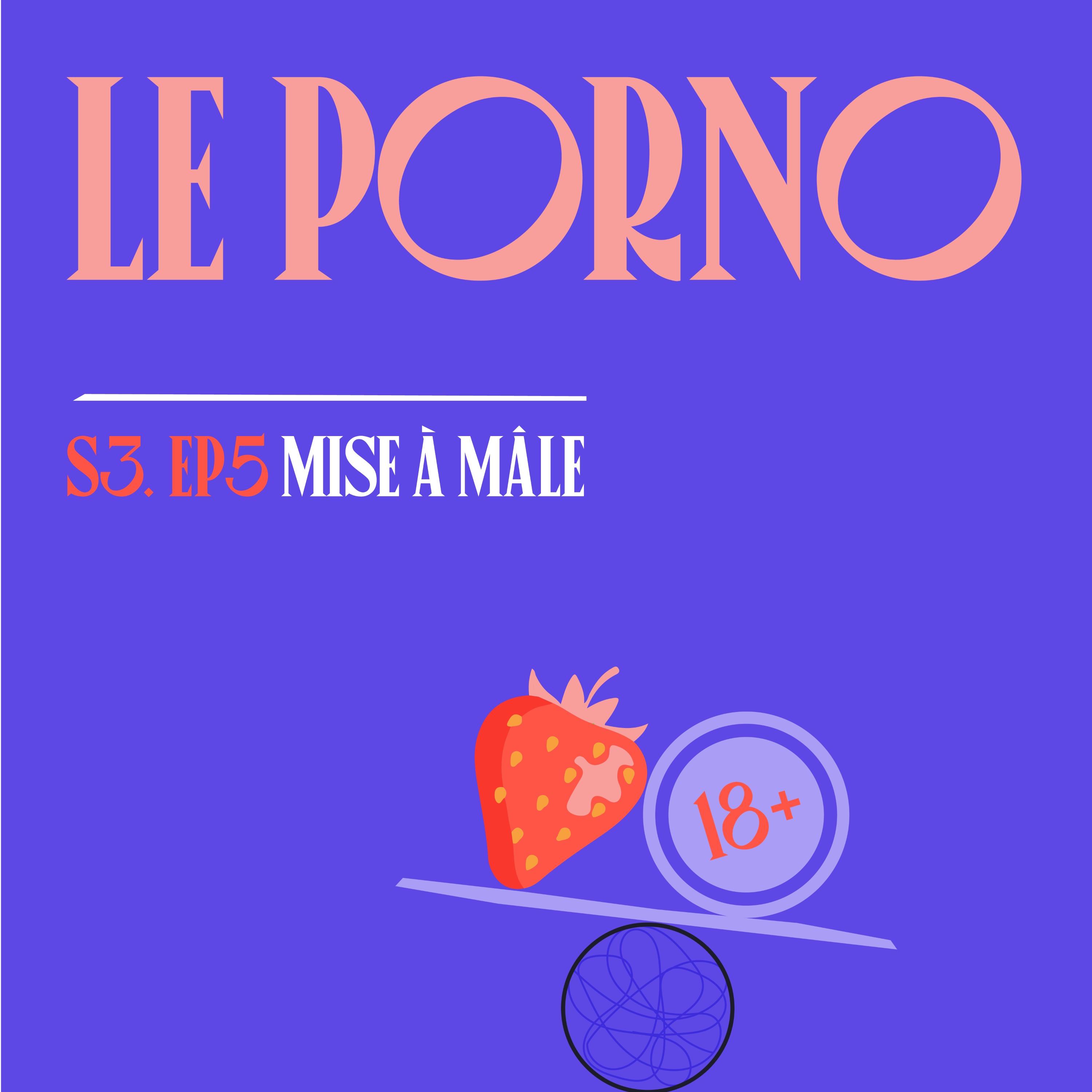 S03E05 - Le Porno episode artwork
