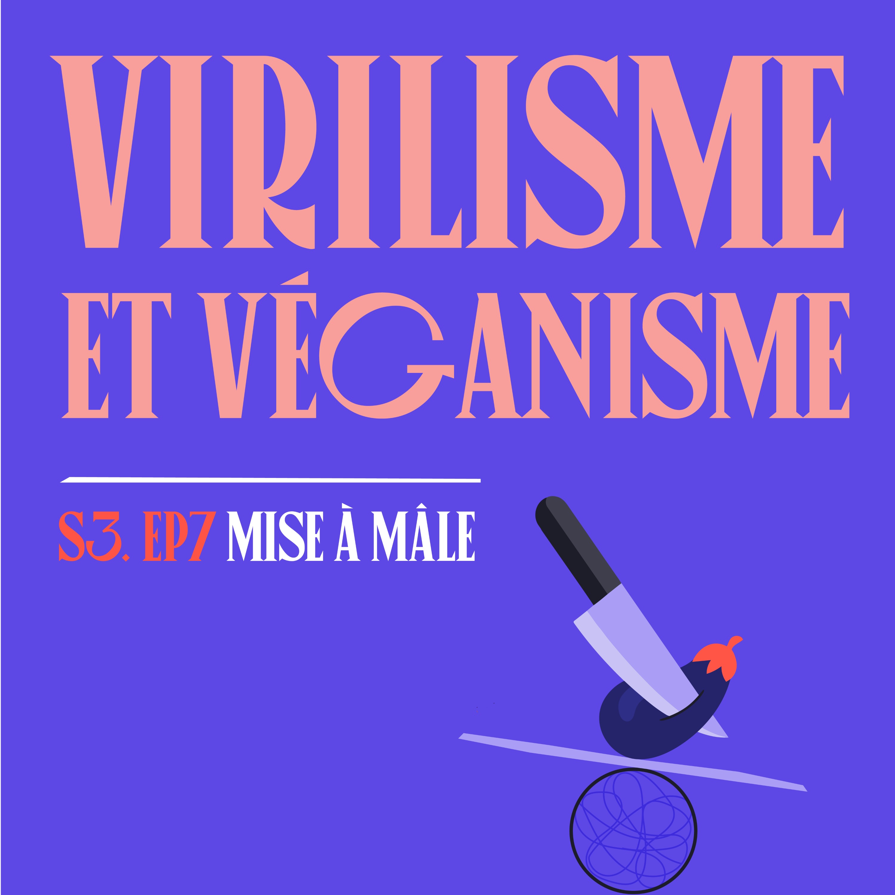 cover art for S03E07 - Virilisme & Véganisme (avec Sébastien Kardinal)