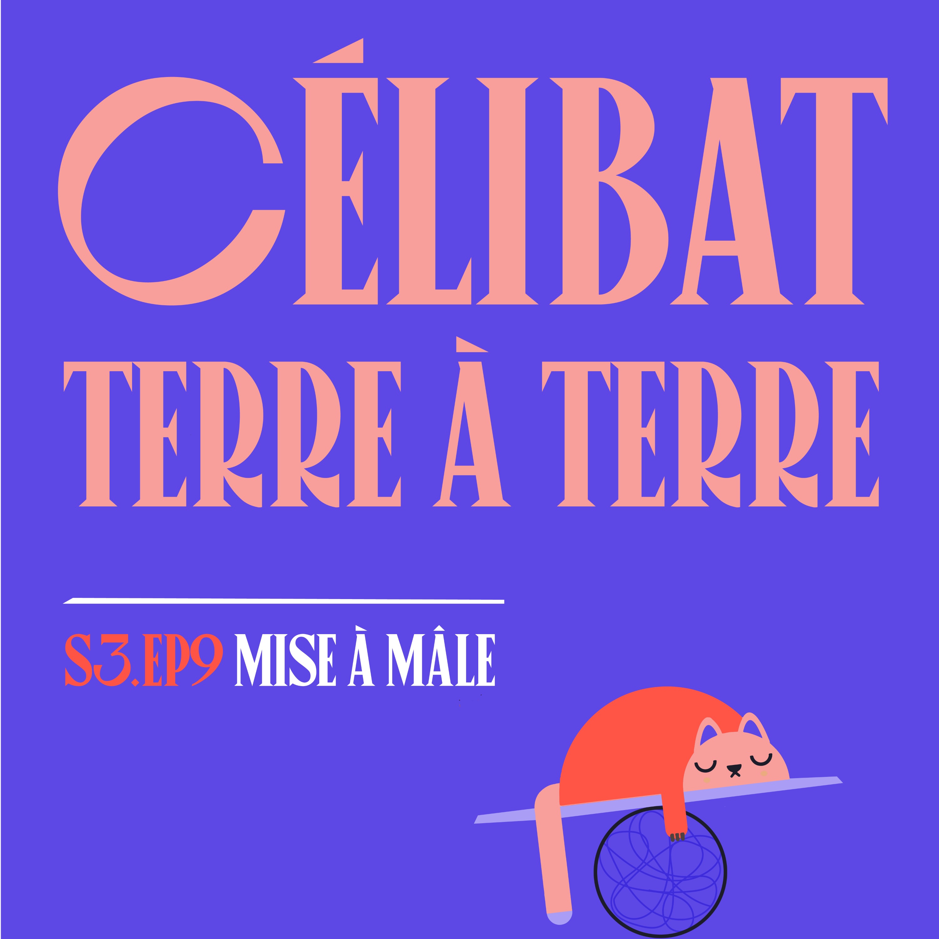S03E09 - Célibataires (à terre ?) — avec @lacelibataire_lavraie episode artwork