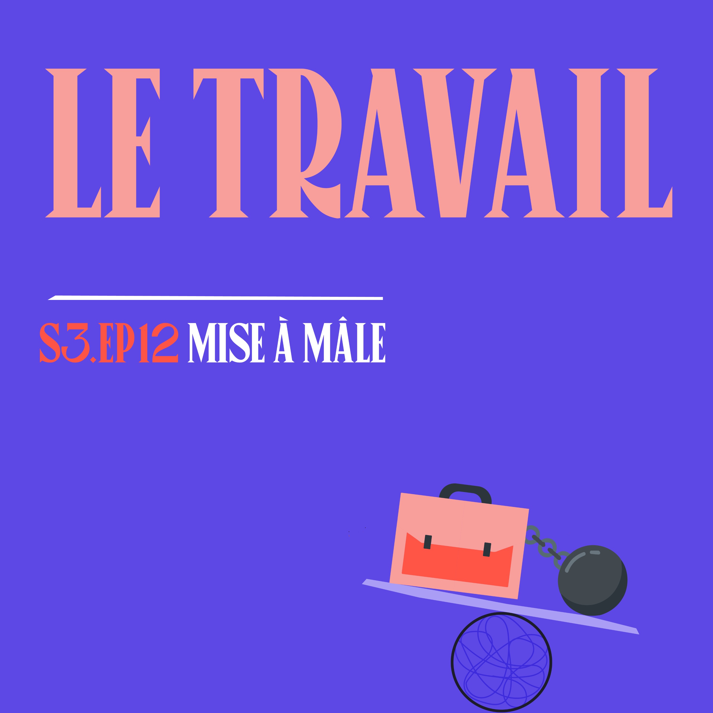 S03E12 - Travaille dur ! (avec Lucallaccio) episode artwork