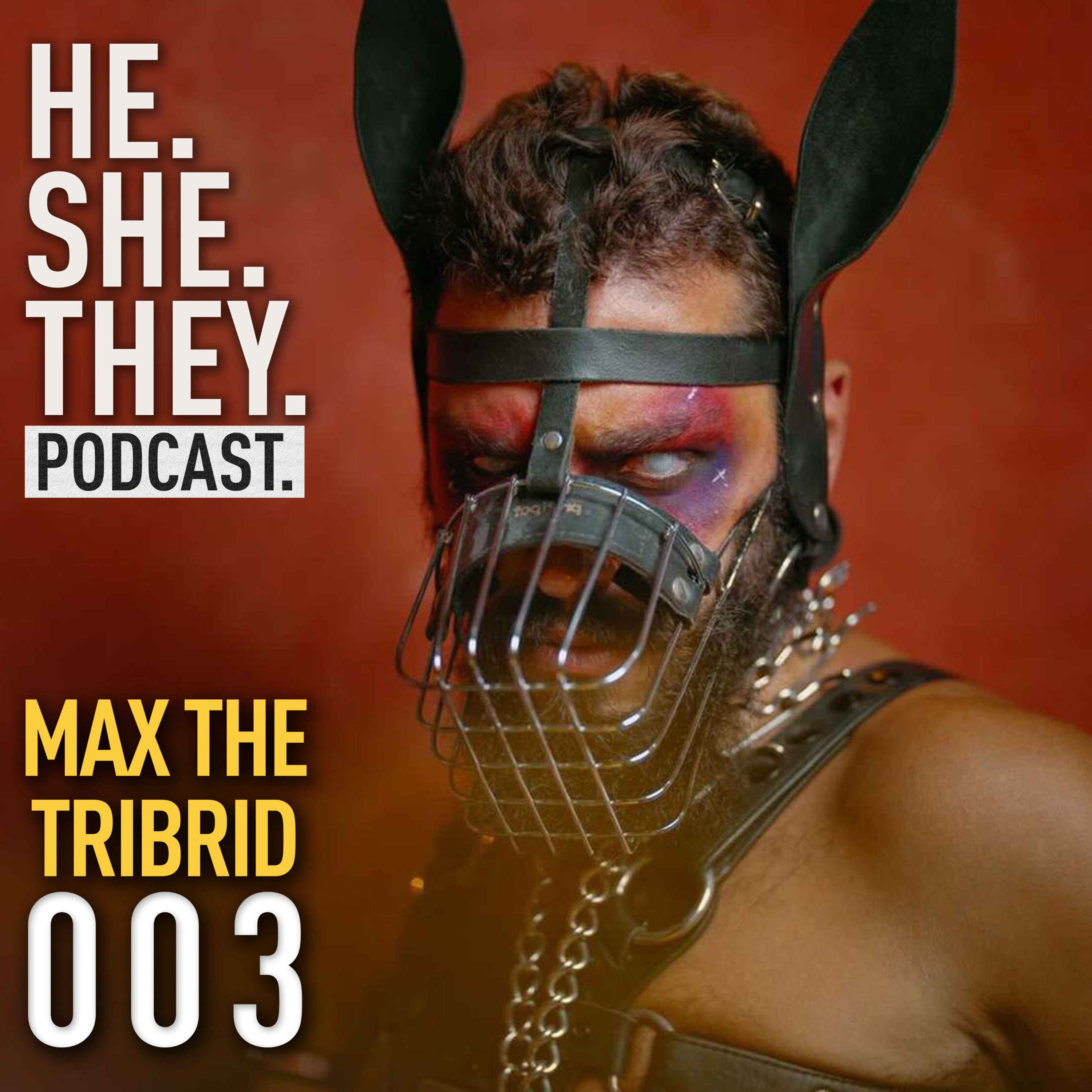HE.SHE.THEY. x Max The Tribrid