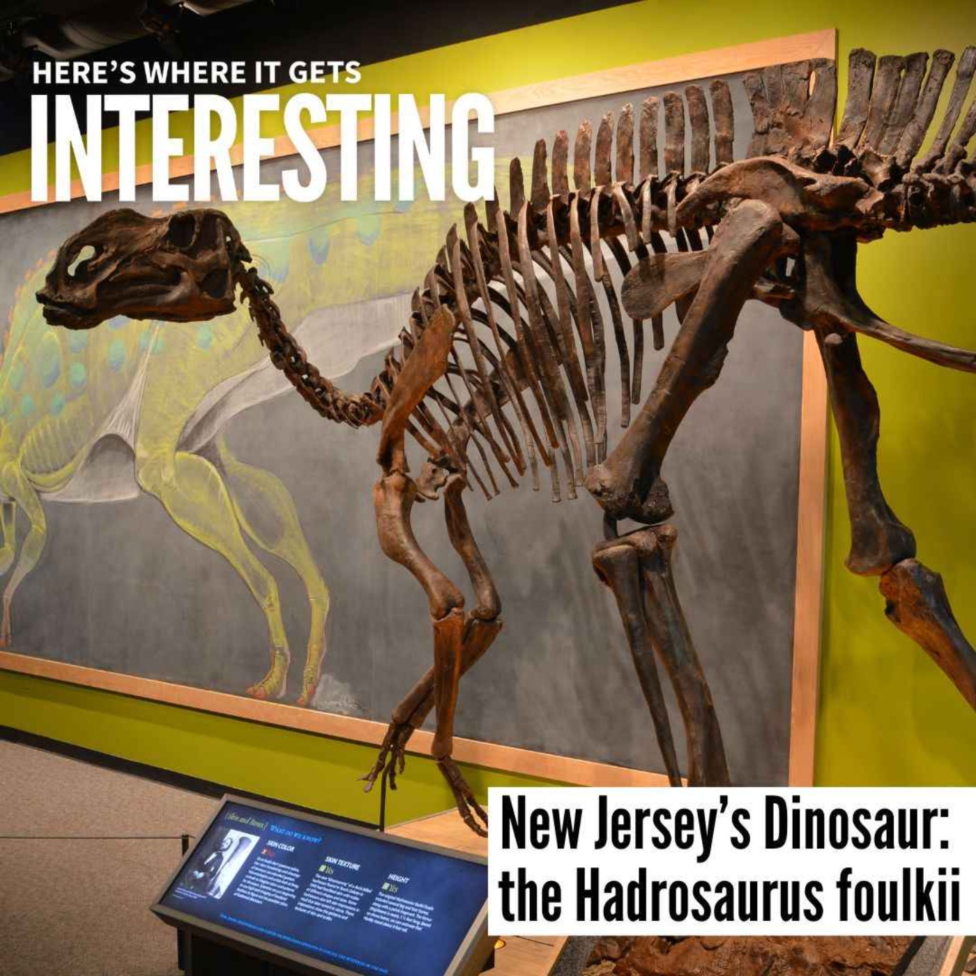 New Jersey’s Dinosaur: The Hadrosaurus foulkii