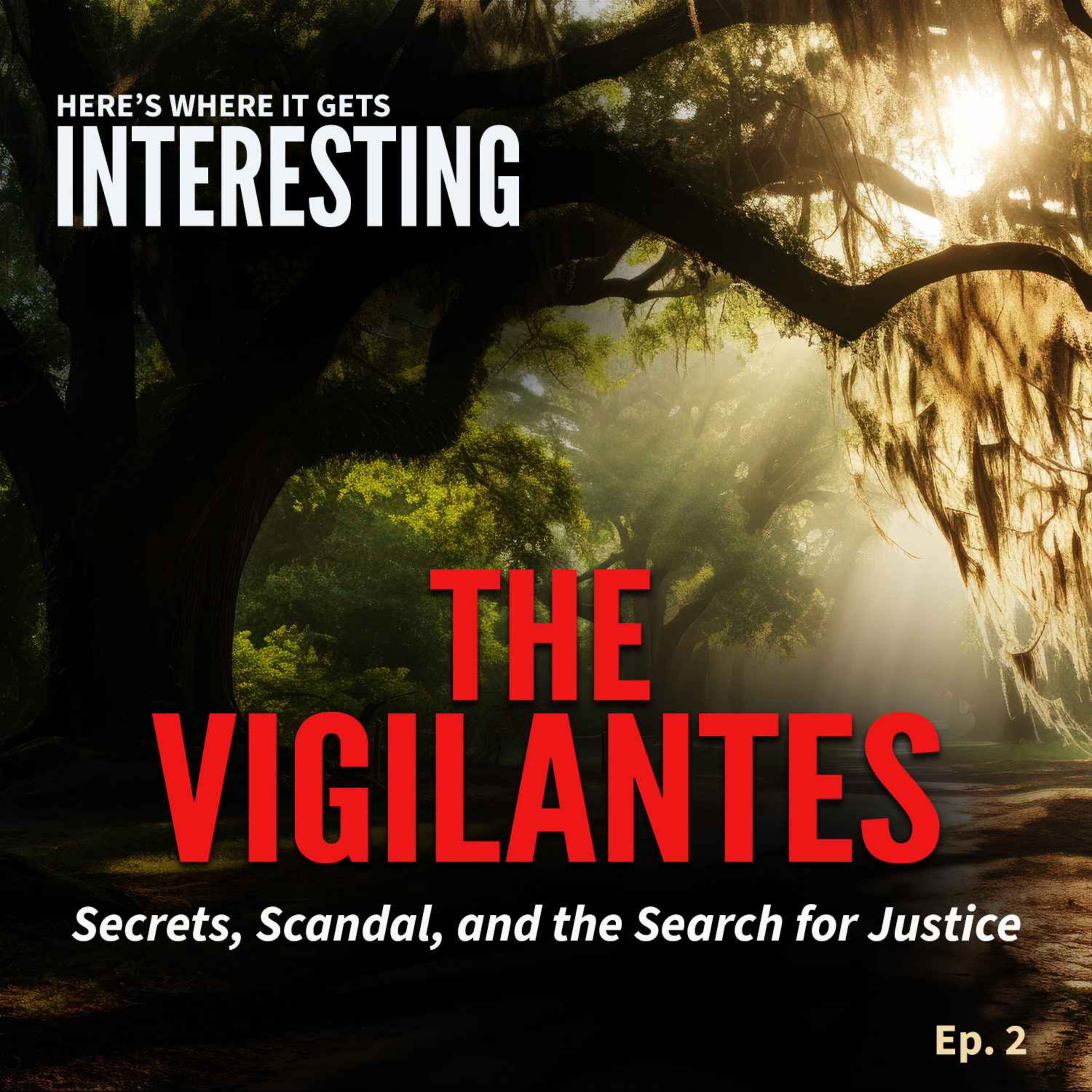 cover art for The Vigilantes, Episode 2
