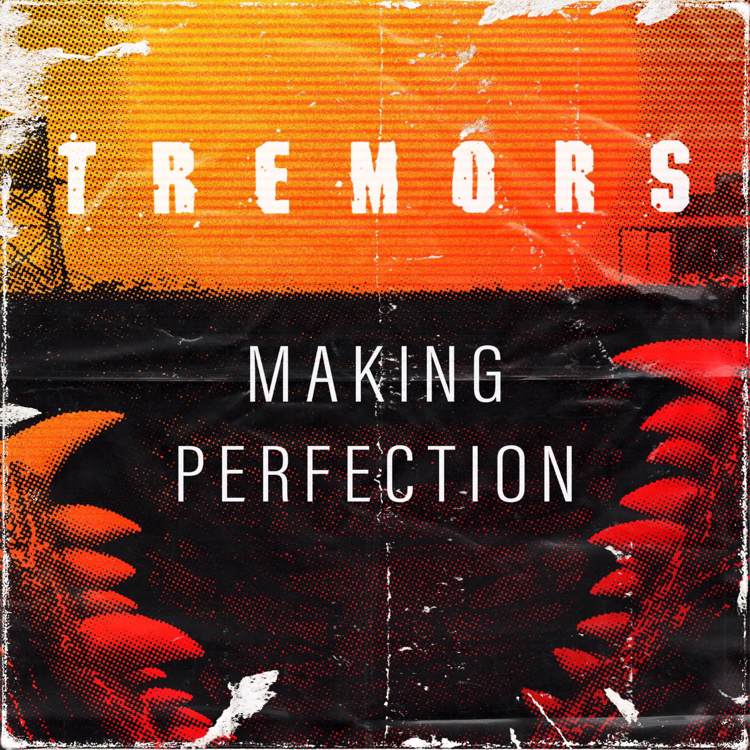 cover art for Ron Underwood | Making Perfection #5