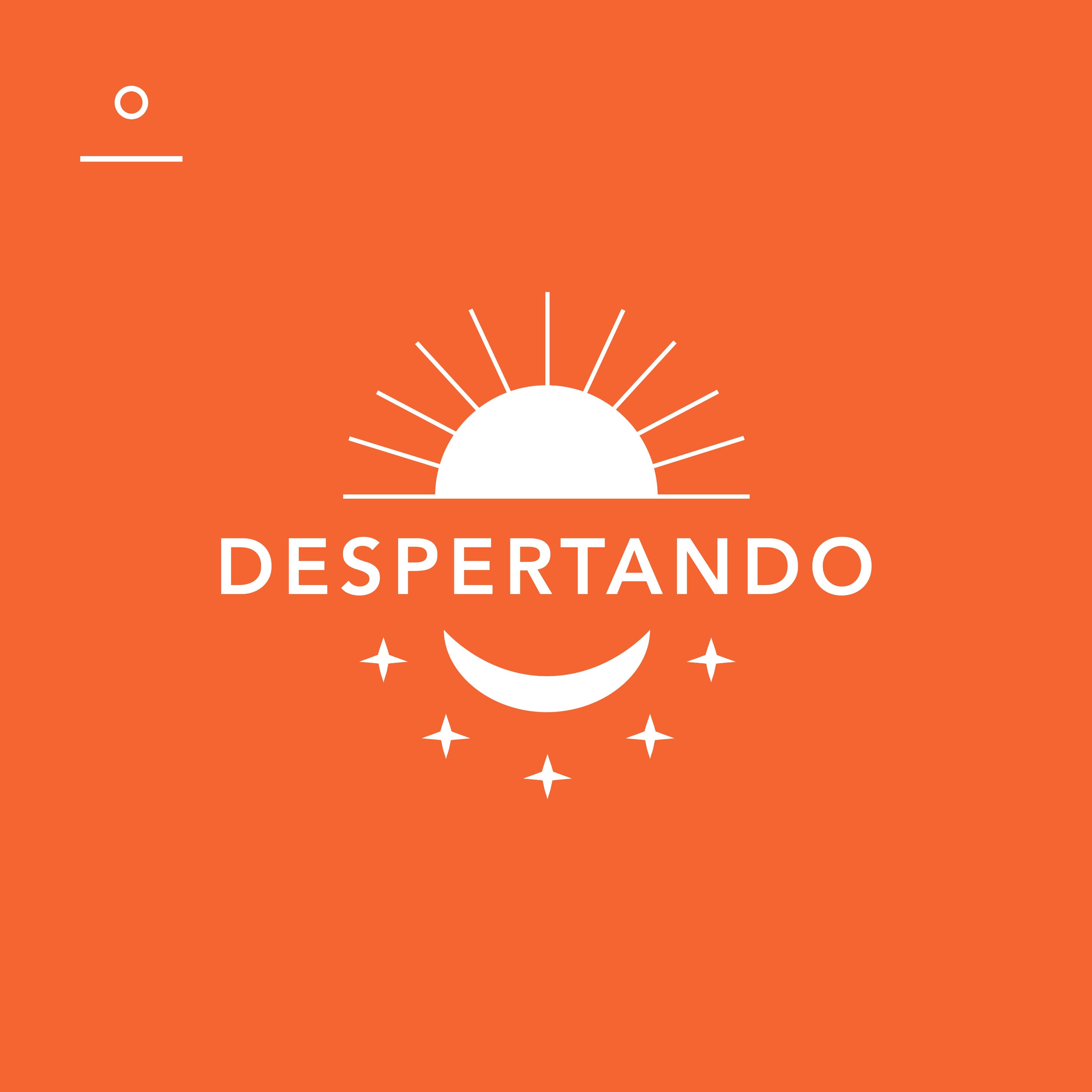 Episode Artwork