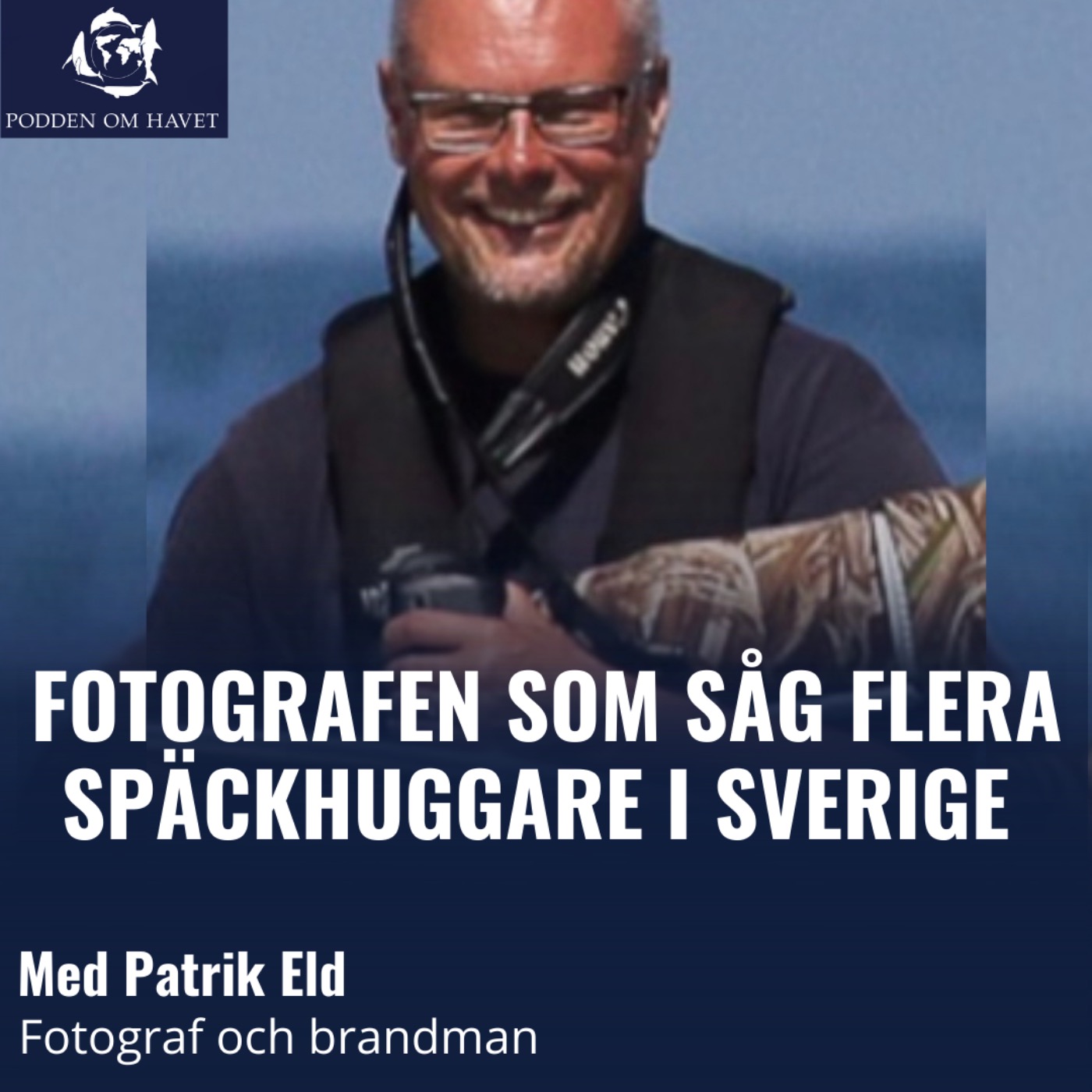 Patrik Eld - Om fotografen som såg späckhuggare i Sverige