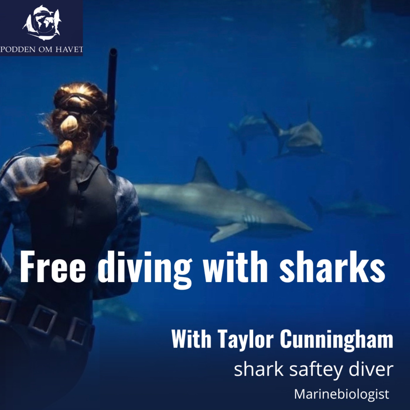 Diving with sharks with Taylor Cunningham