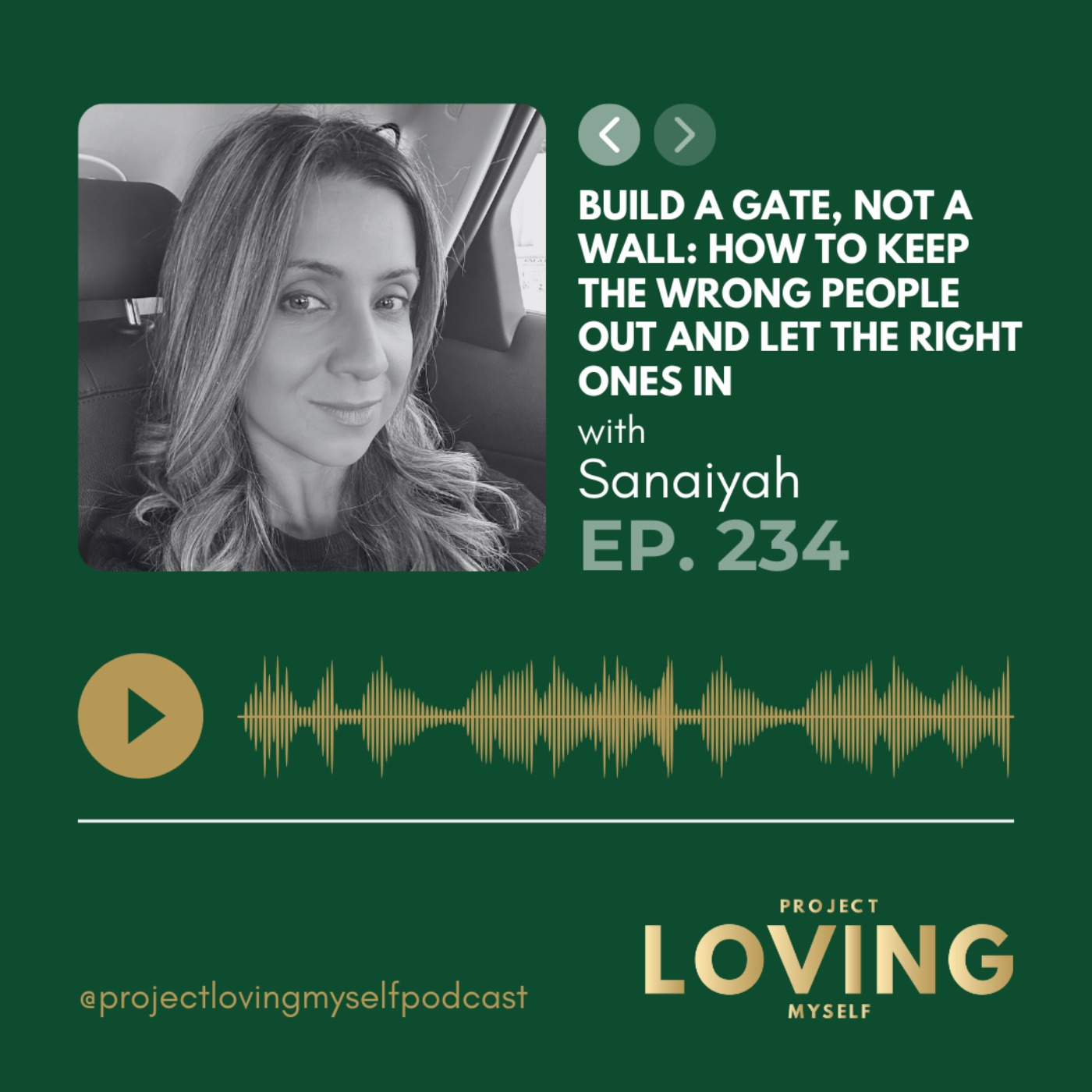 234: Build a Gate, Not a Wall: How to Keep the Wrong People Out and Let the Right Ones In