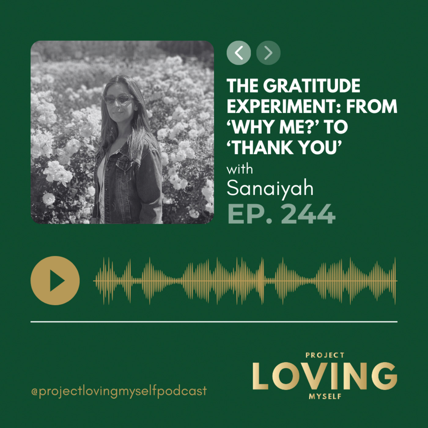244: The Gratitude Experiment: From ‘Why Me?’ to ‘Thank You’