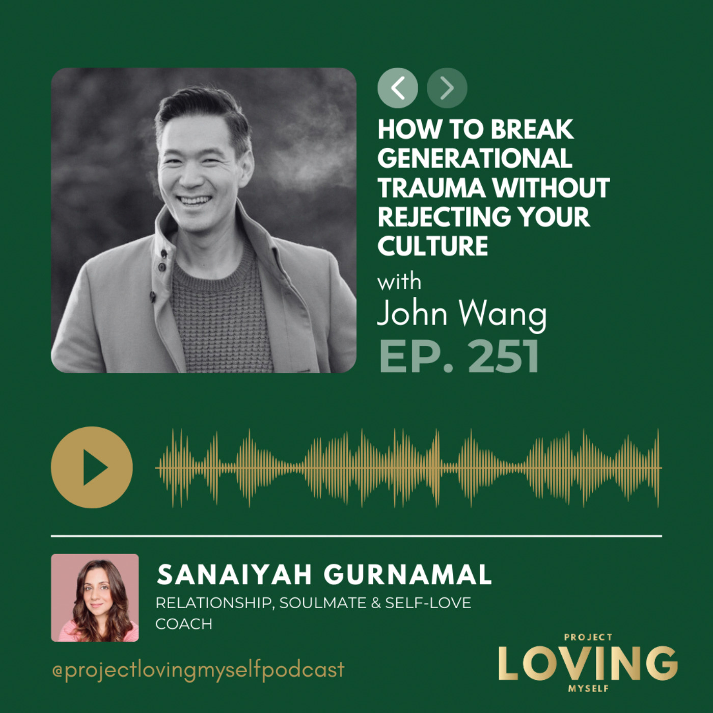 251: How to Break Generational Trauma Without Rejecting Your Culture with John Wang