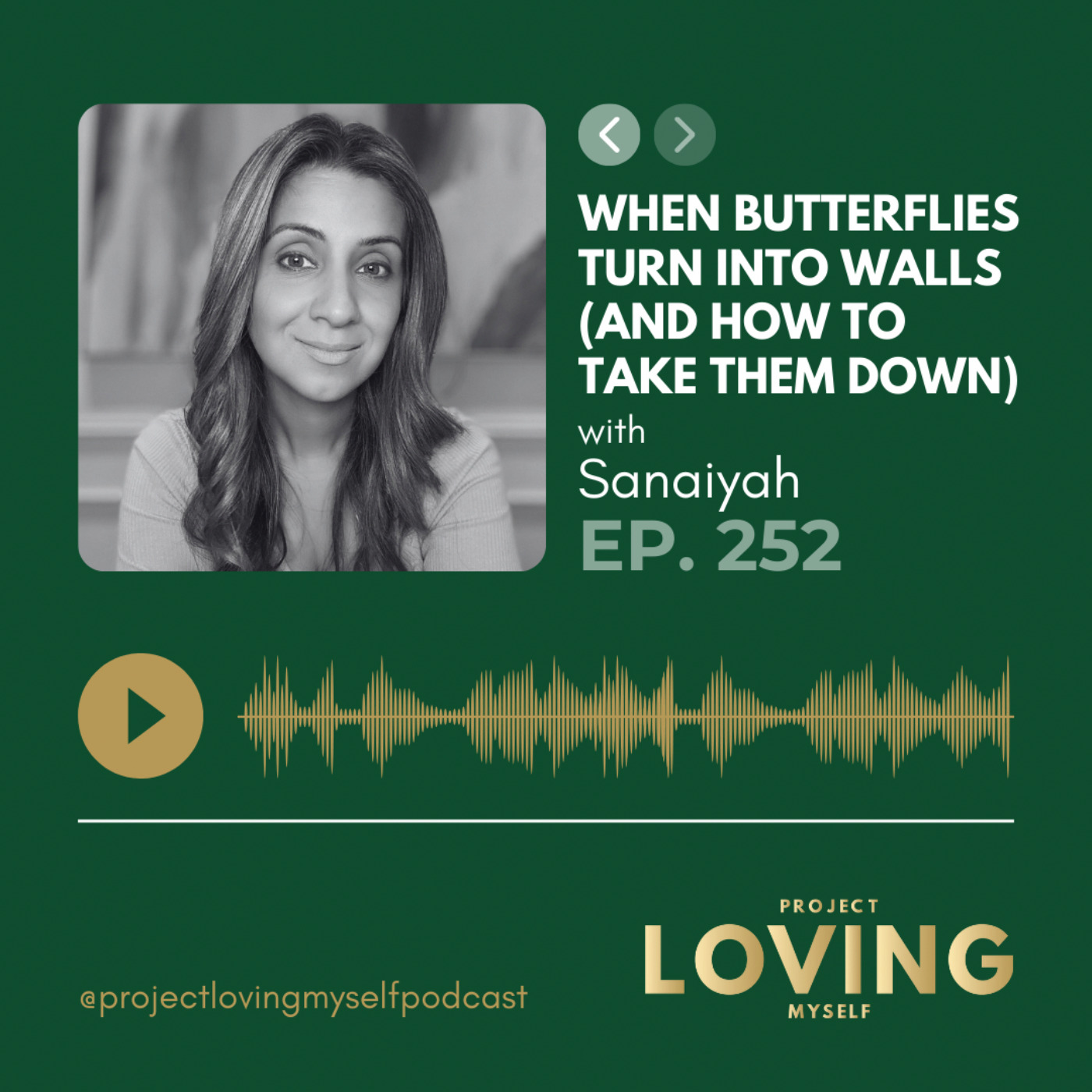 252: How Butterflies Turn Into Walls (and How to Take Them Down)