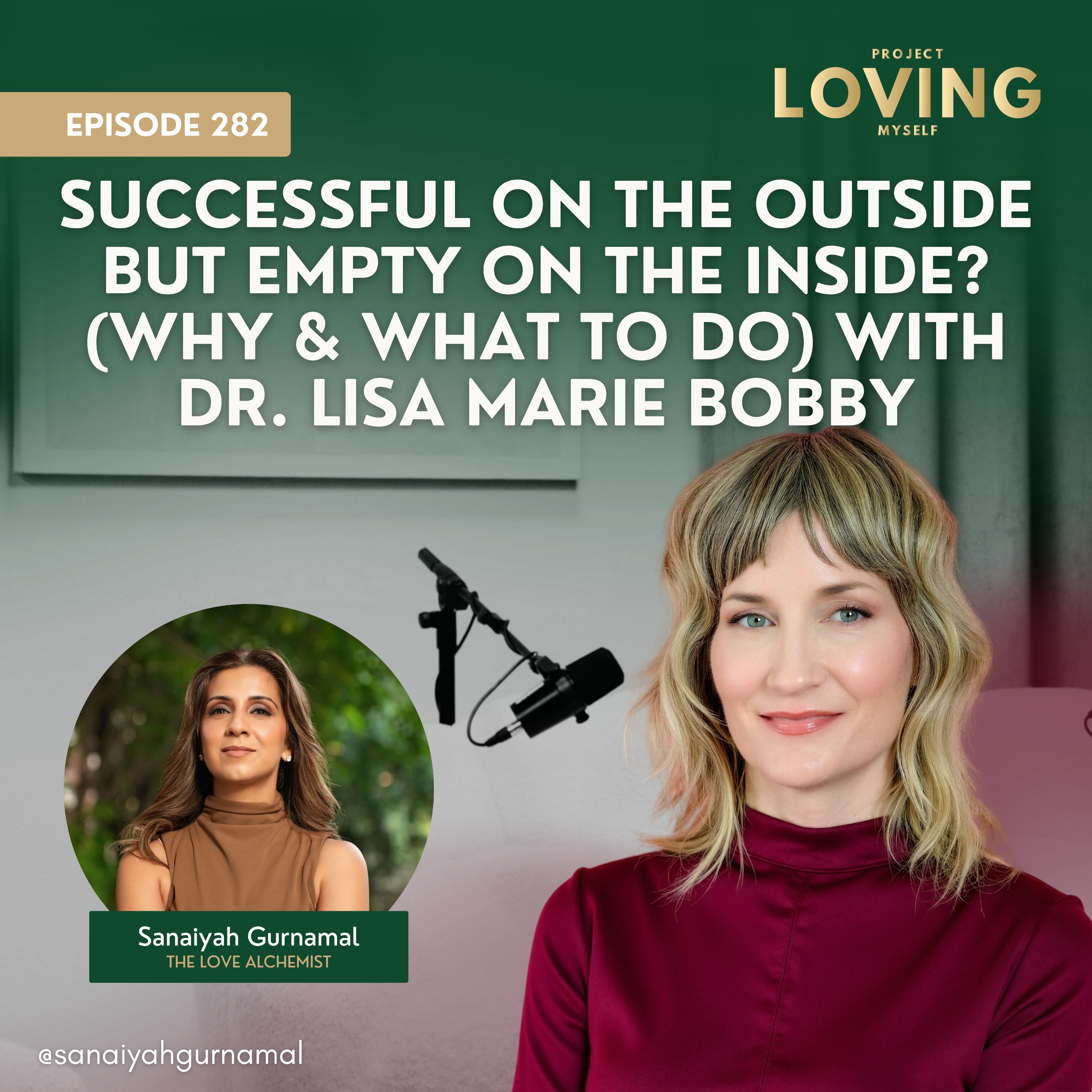 282: Successful on the Outside but Empty on the Inside? (Why & What To Do) with Dr. Lisa Marie Bobby episode artwork