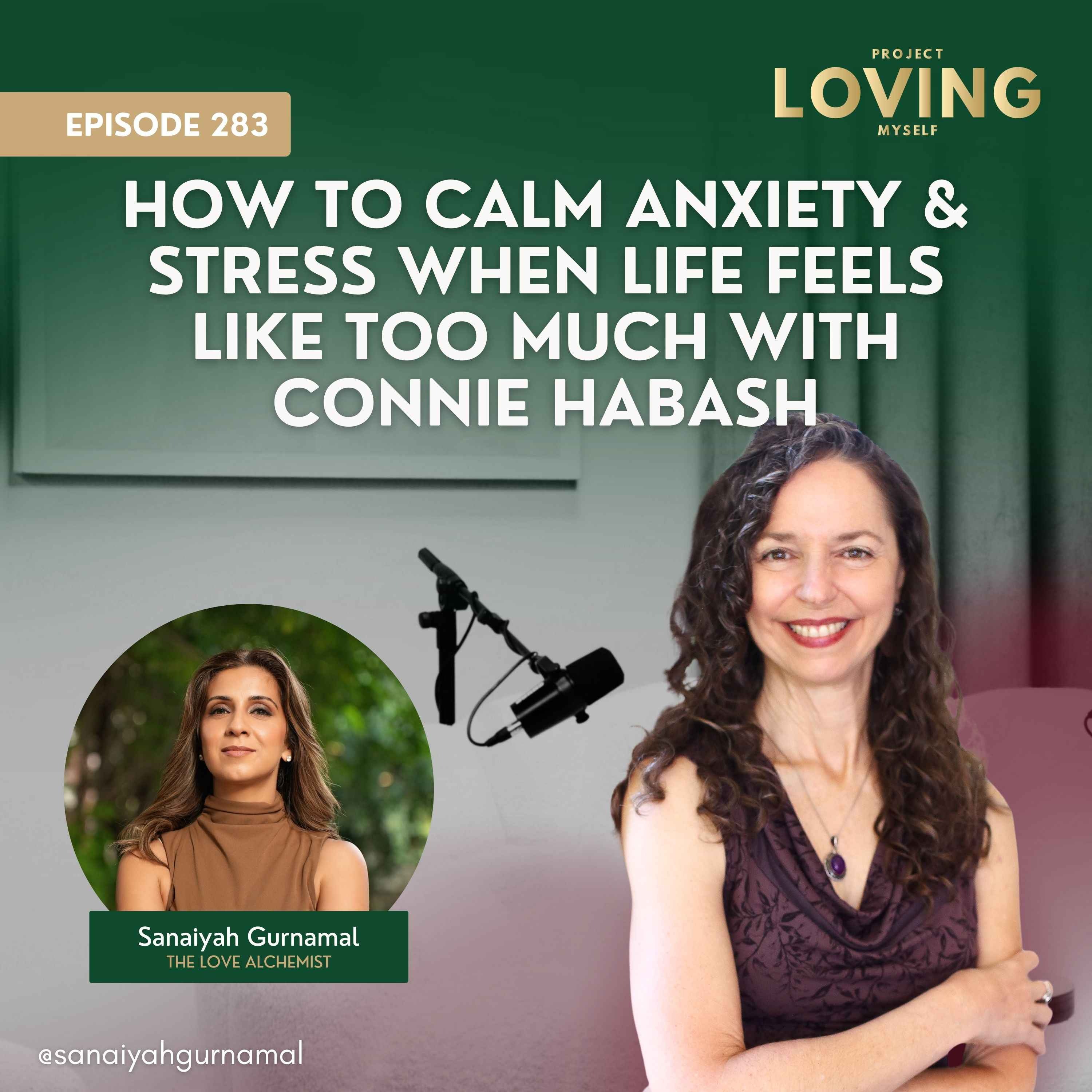 283: How to Calm Anxiety & Stress When Life Feels Like Too Much with Connie Habash