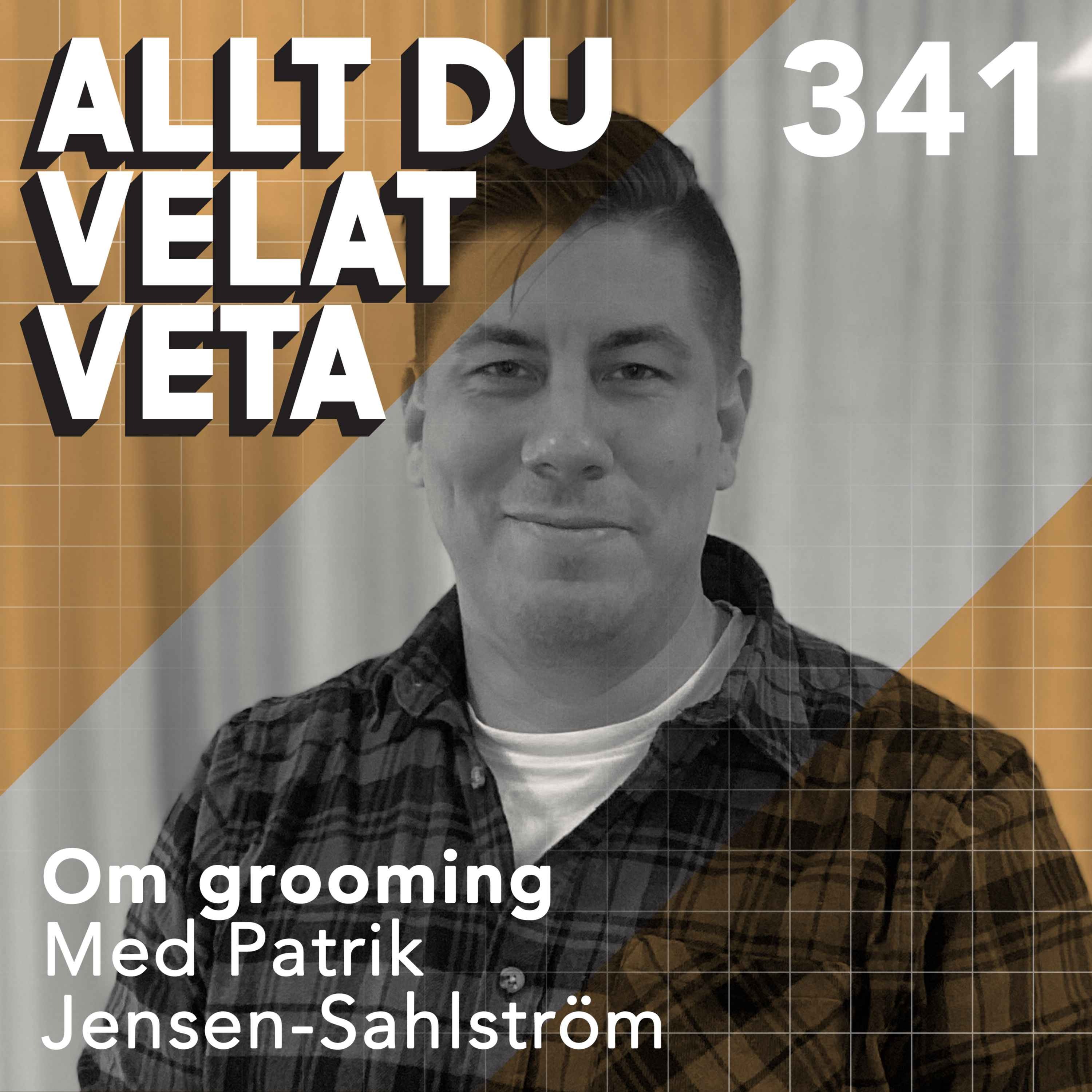 341 Om grooming med Patrik Jensen-Sahlström