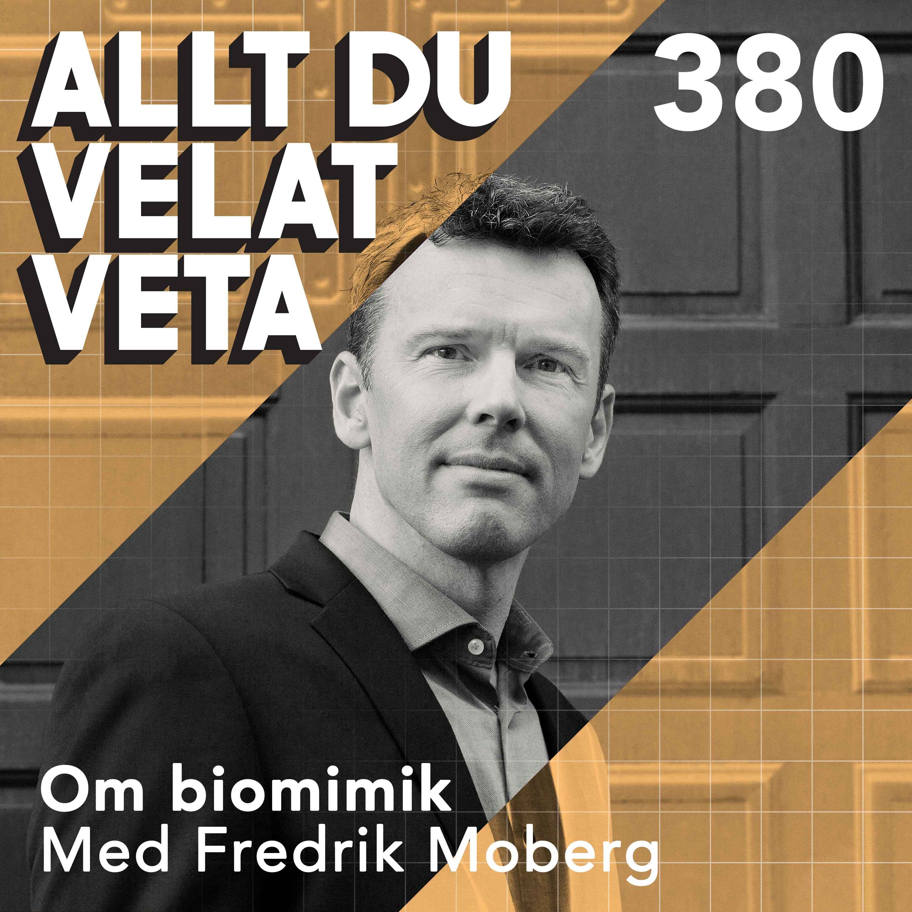 380 Om biomimik med Fredrik Moberg
