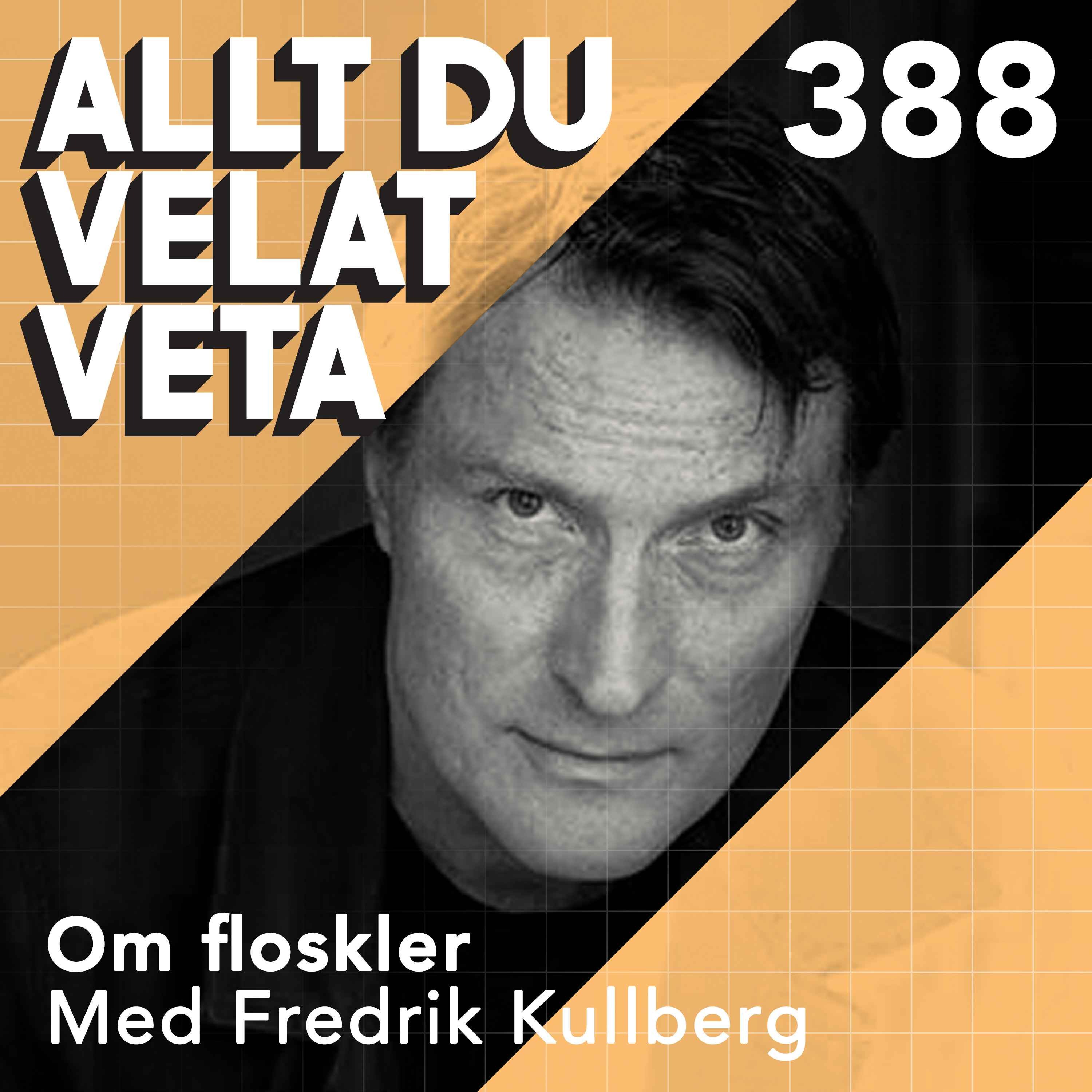 388 Om floskler med Fredrik Kullberg