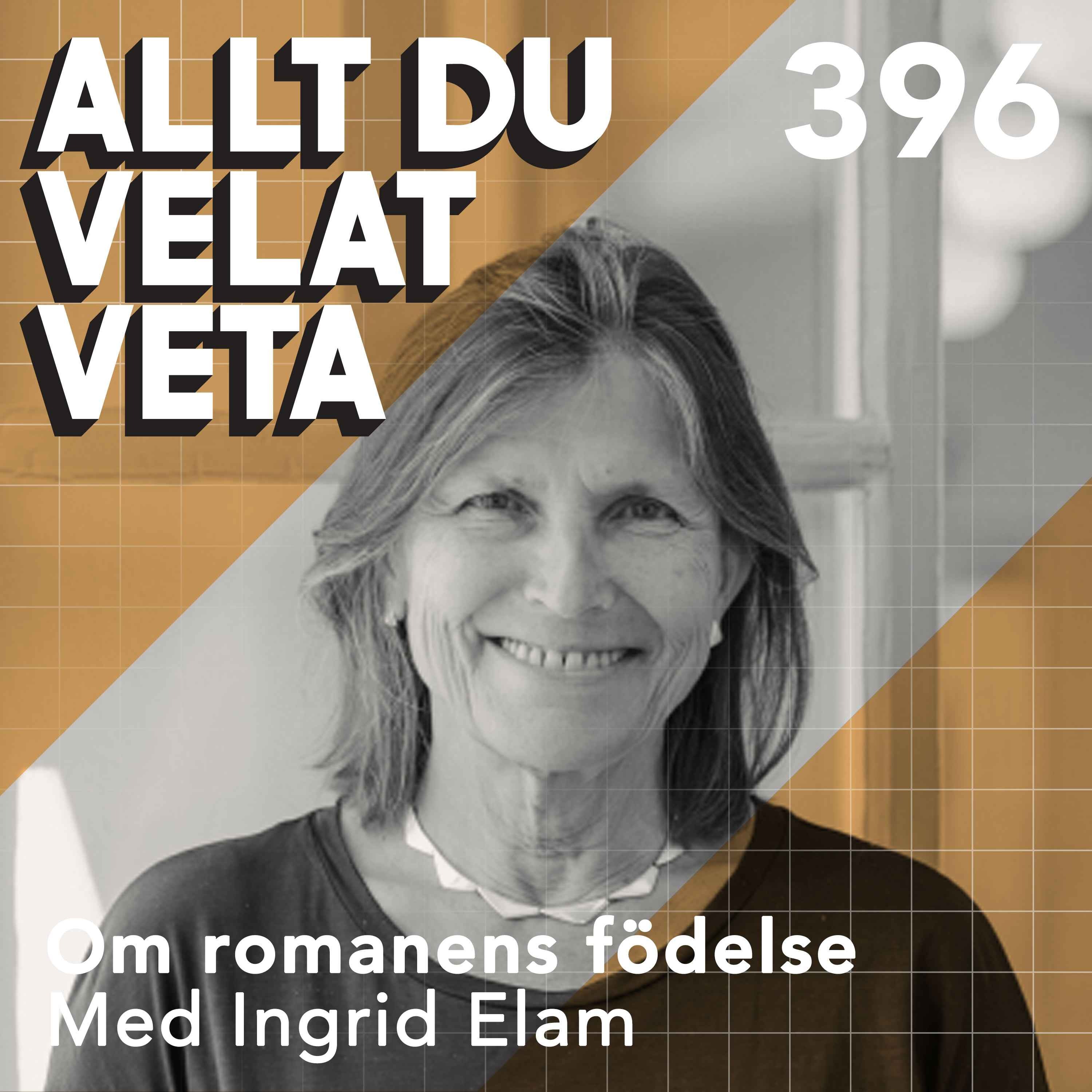 396 Om romanens födelse med Ingrid Elam