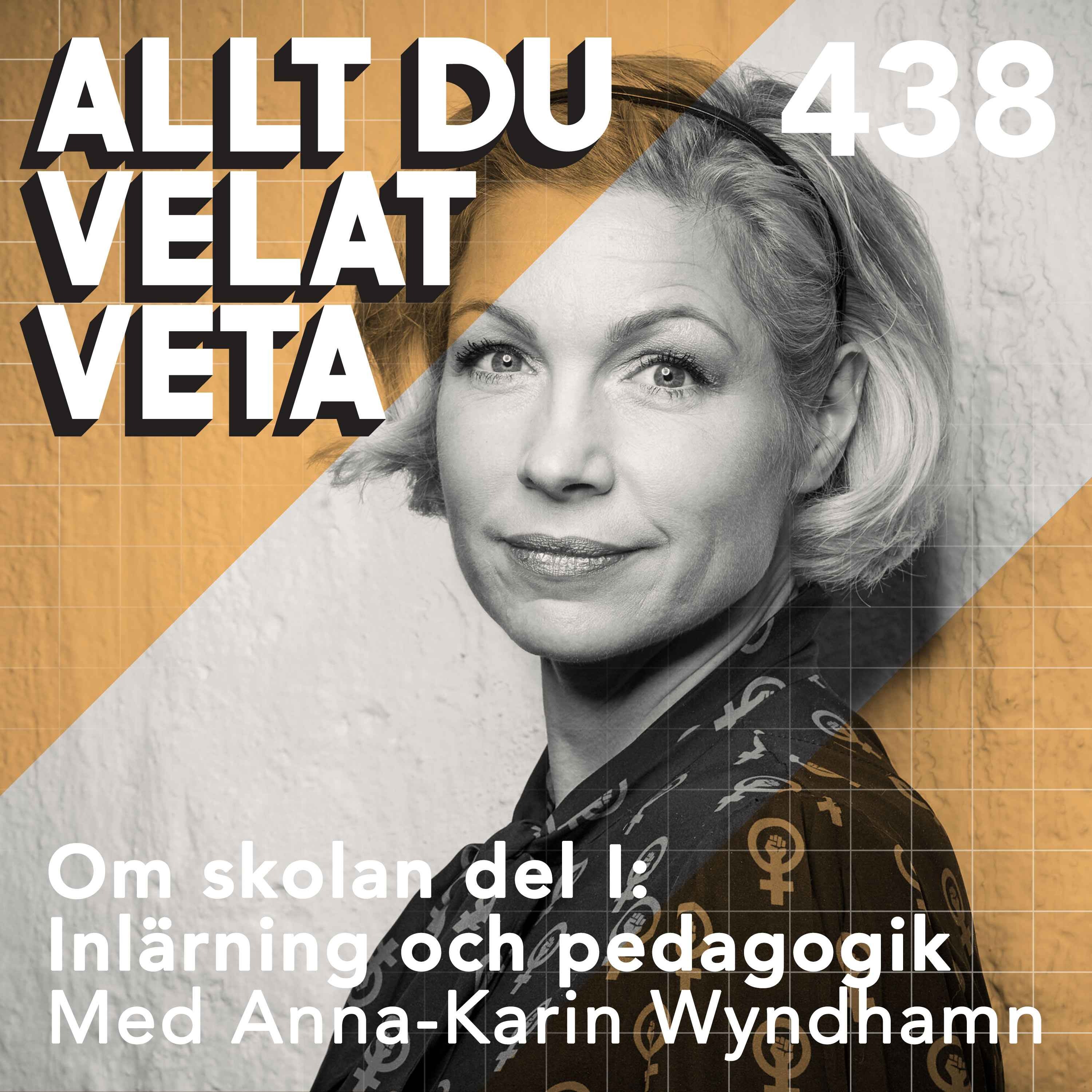 438 Om skolan del I: Inlärning och pedagogik med Anna-Karin Wyndhamn