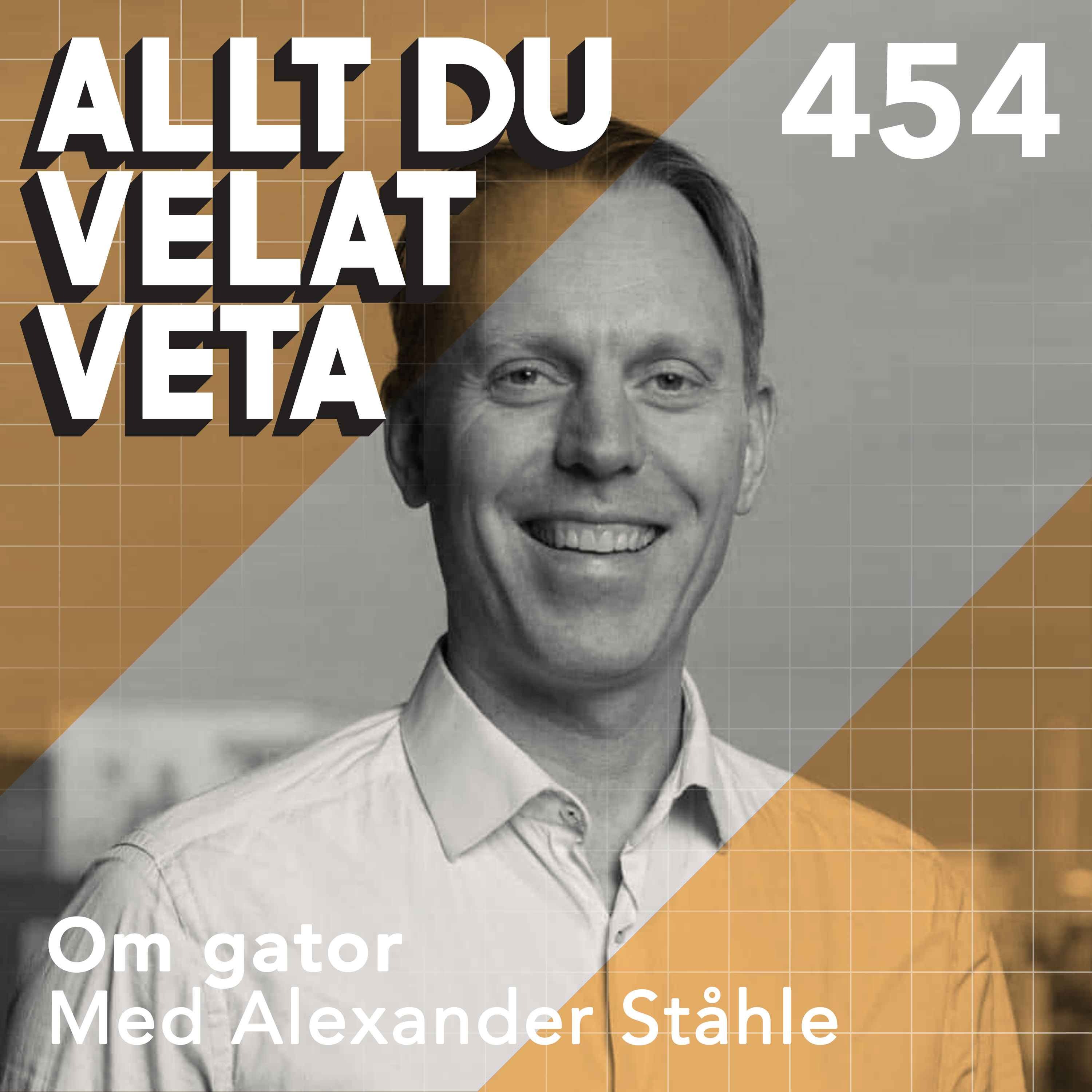 454 Om gator med Alexander Ståhle