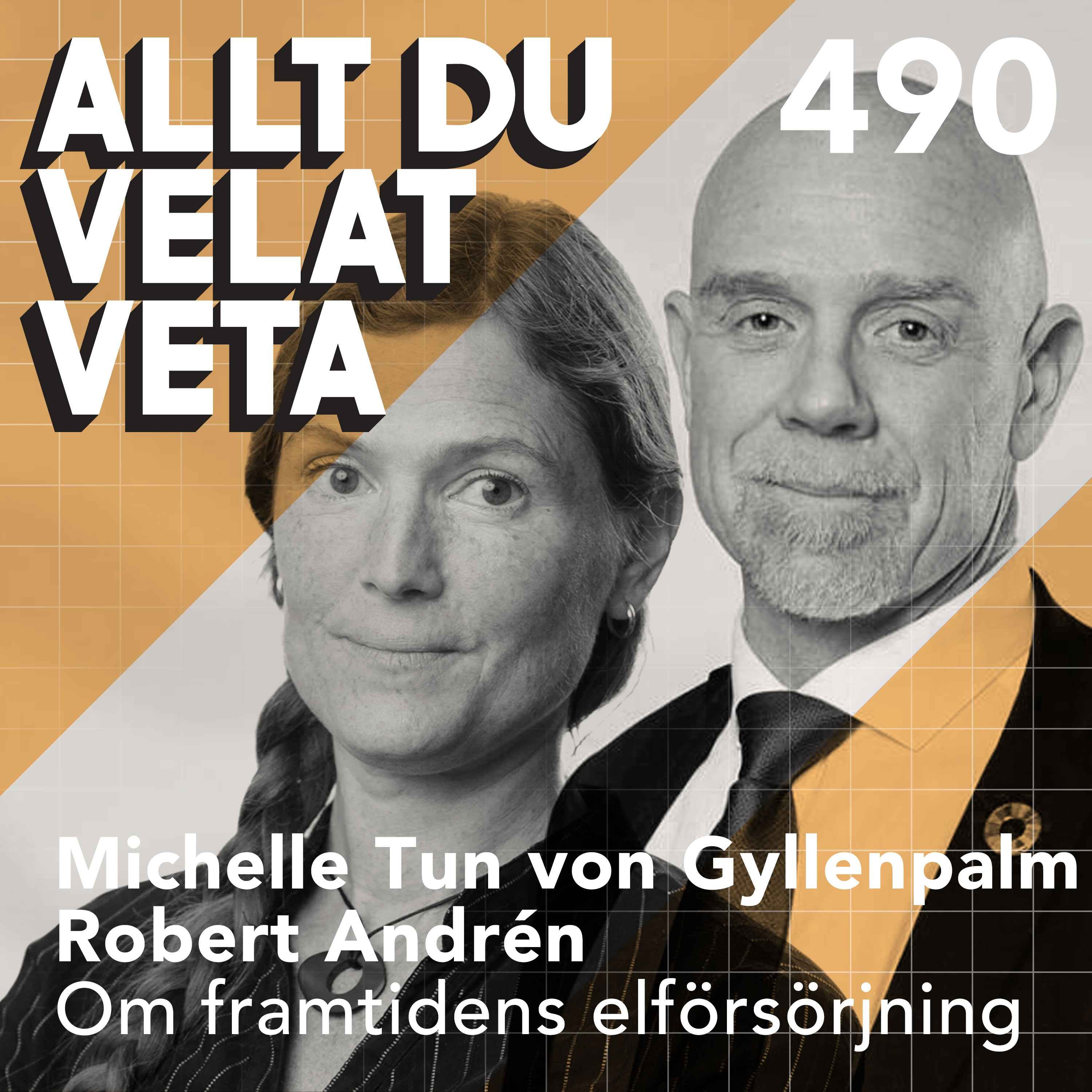 490 Om framtidens elförsörjning med Michelle Tun von Gyllenpalm och Robert Andrén