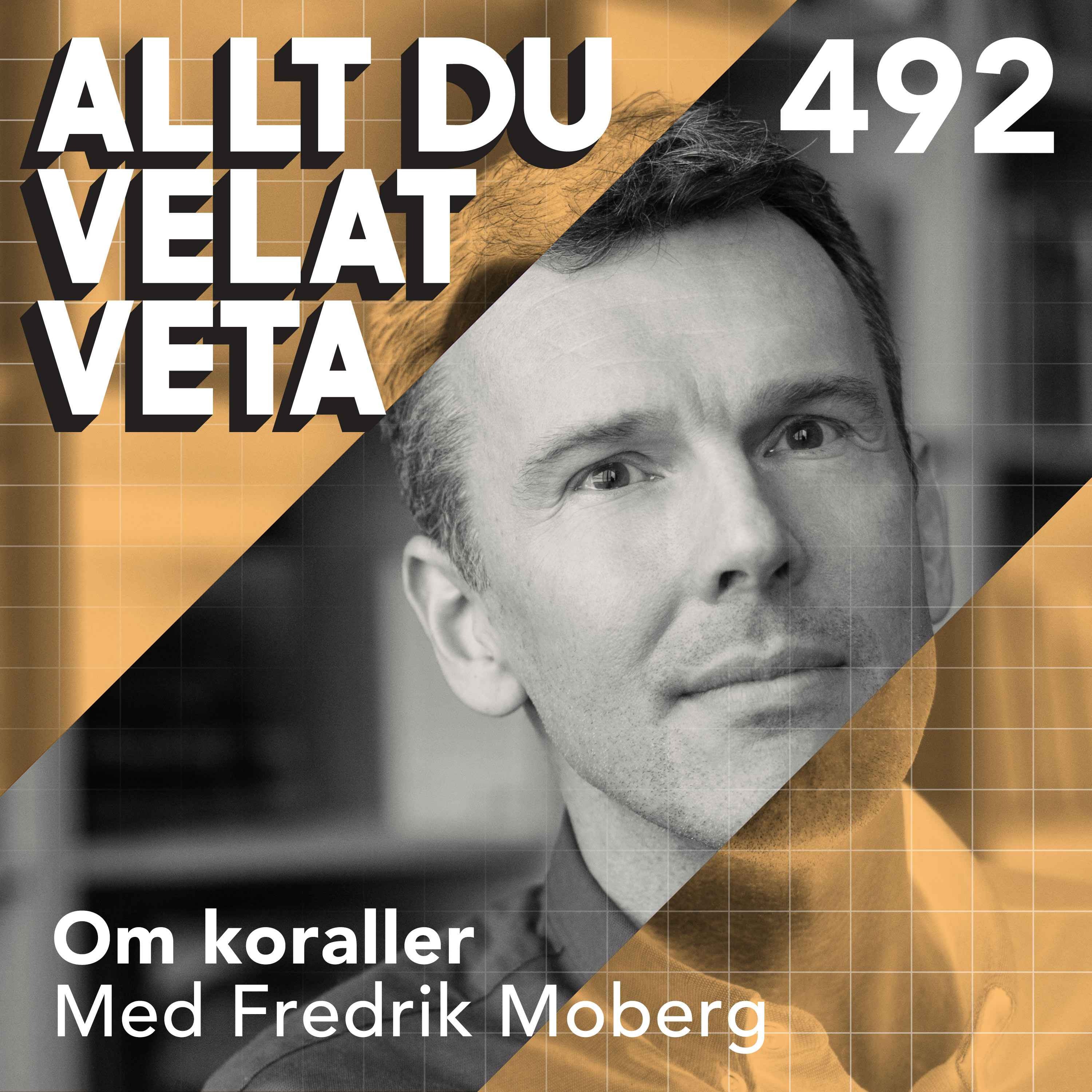 492 Om koraller med Fredrik Moberg