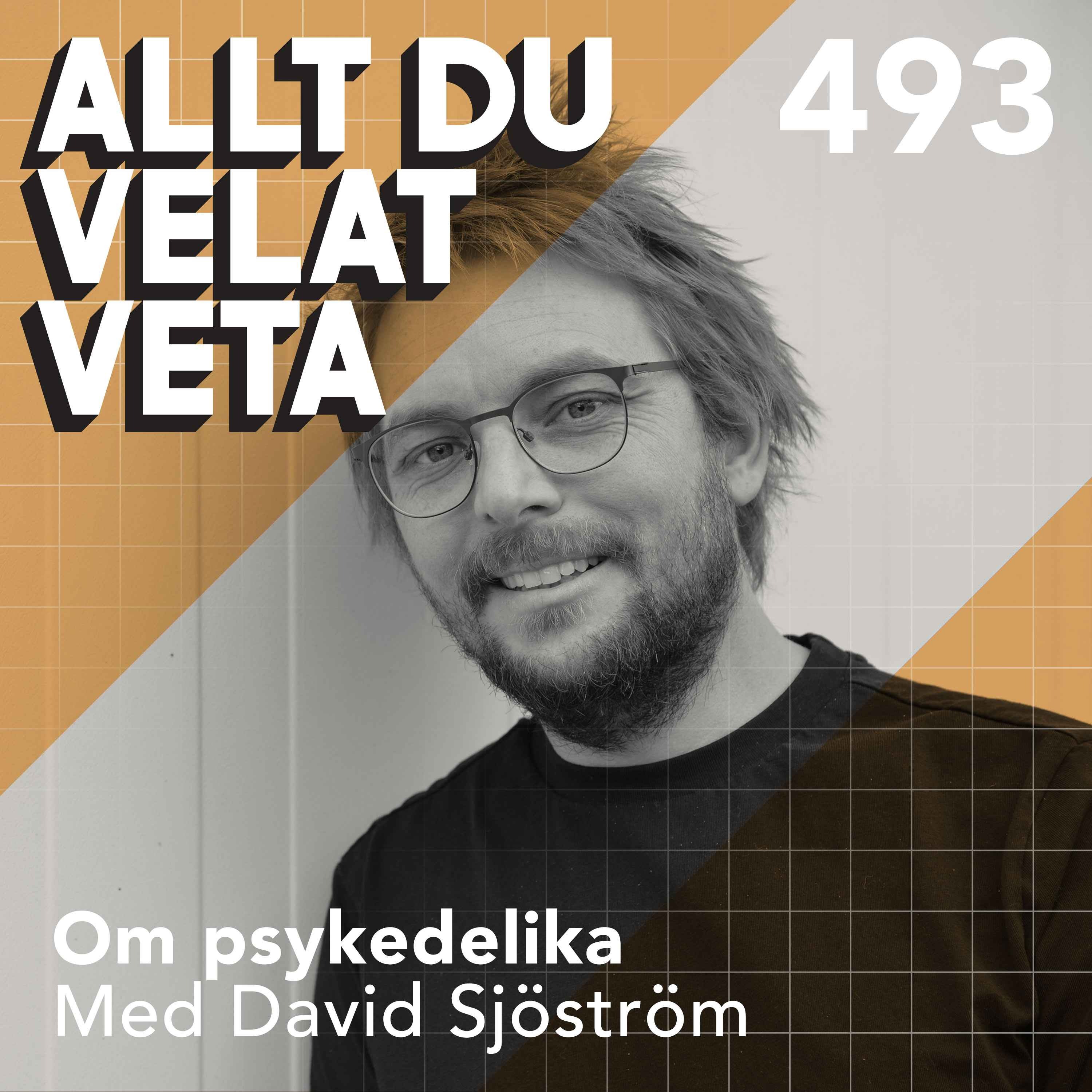 493 Om psykedelika med David Sjöström