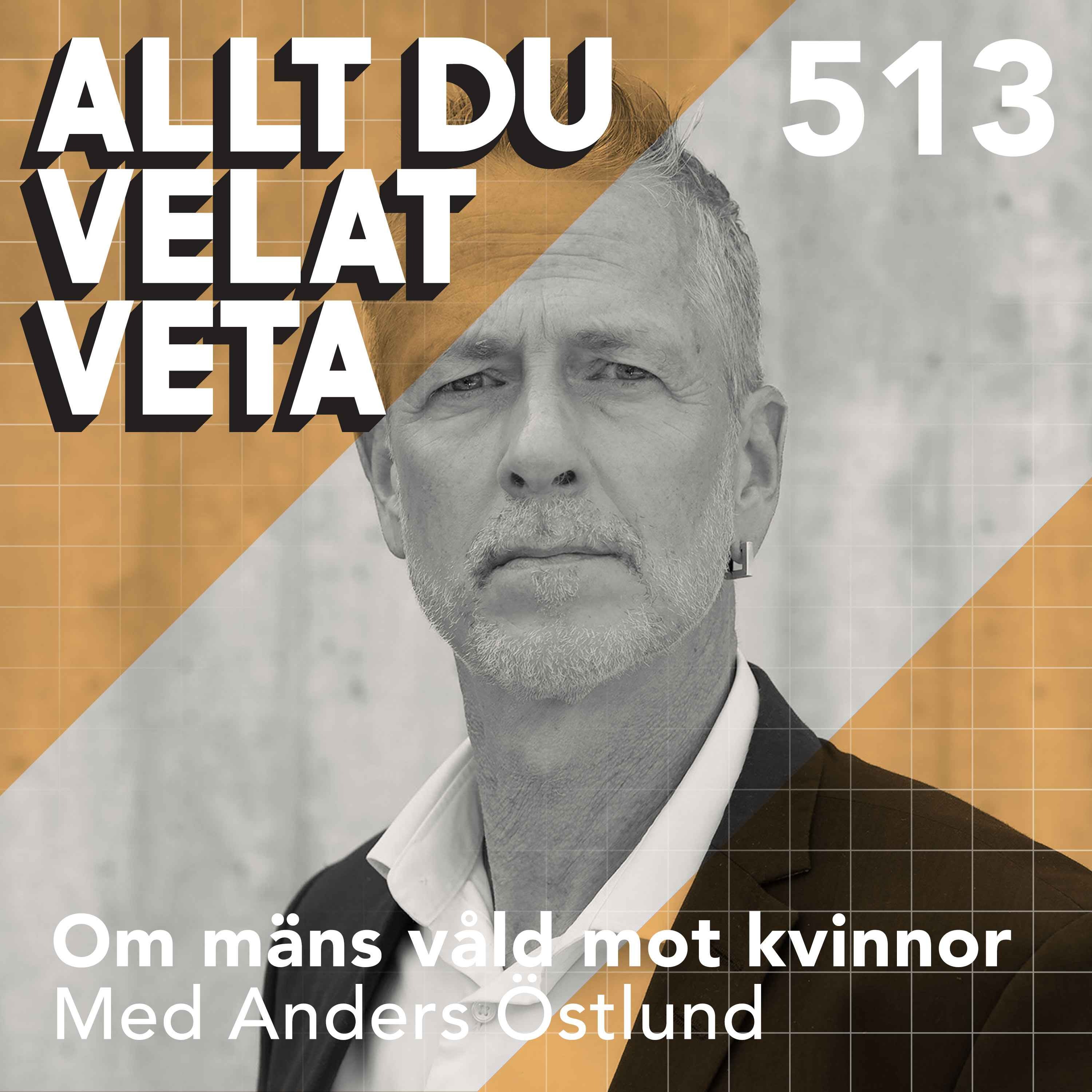 513 Om mäns våld mot kvinnor med Anders Östlund