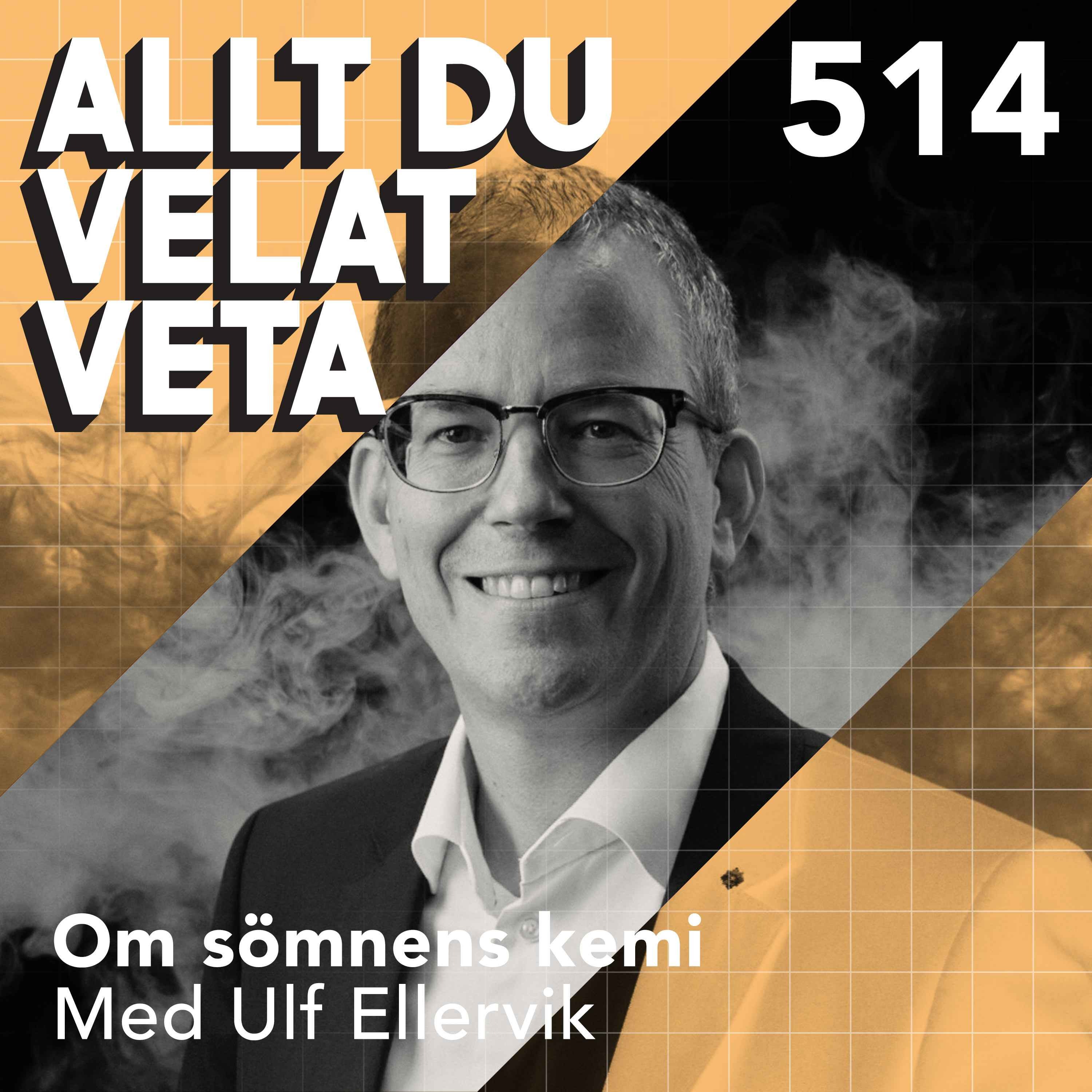 514 Om sömnens kemi med Ulf Ellervik