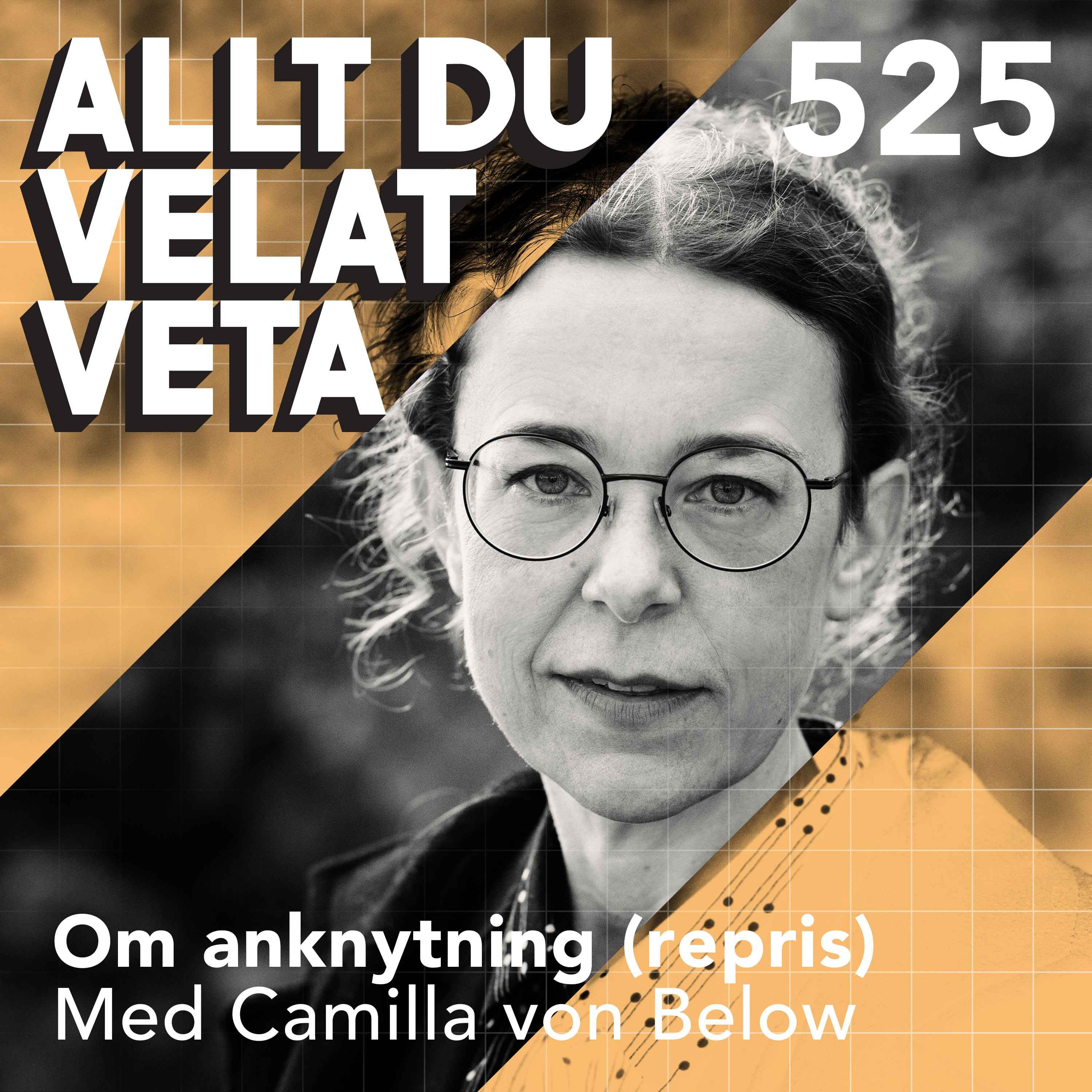 525 Om anknytning med Camilla von Below (repris) - anknytningsmönster bestämmer hur vi formar relationer som vuxna